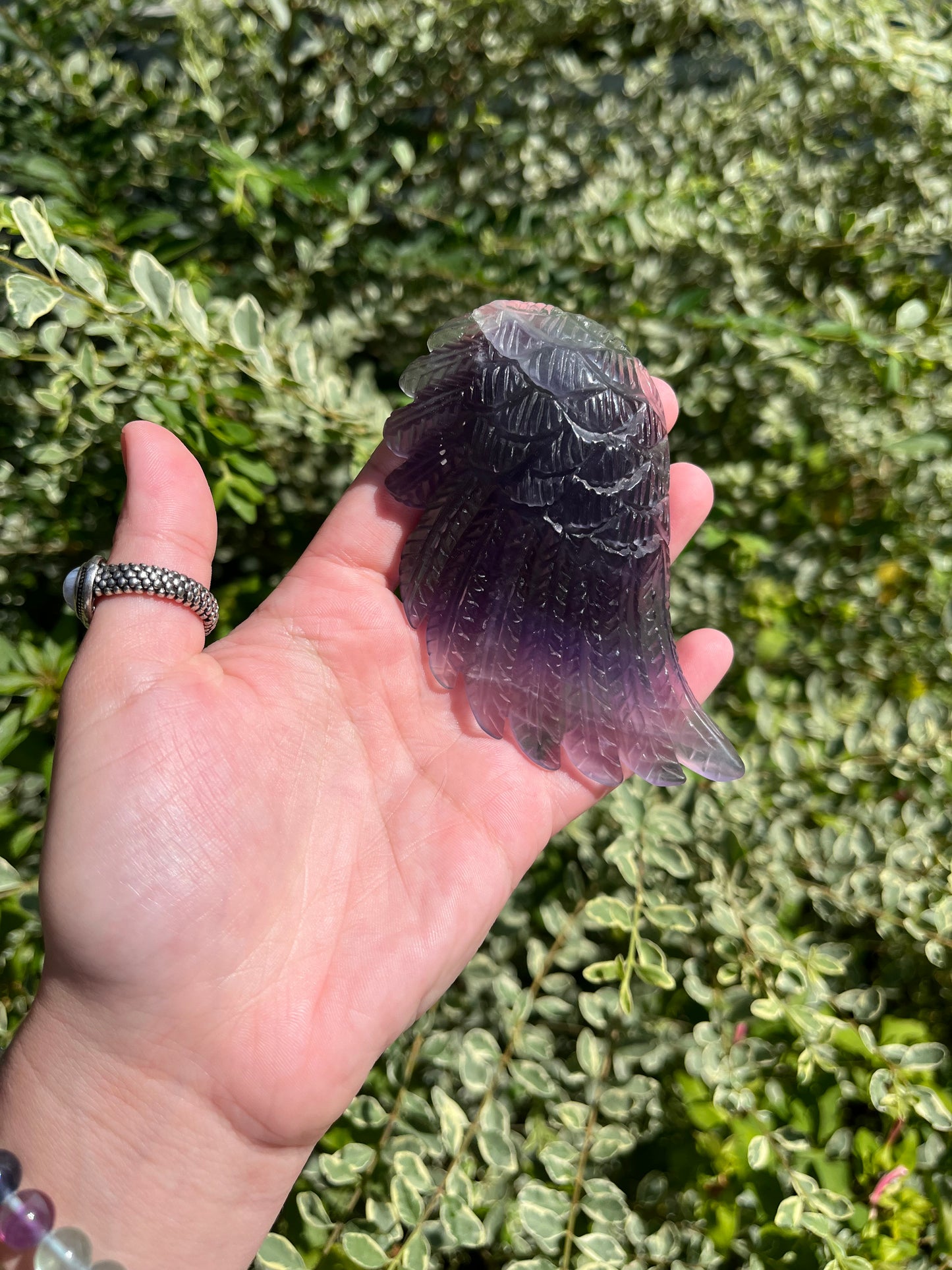 Fluorite Wings