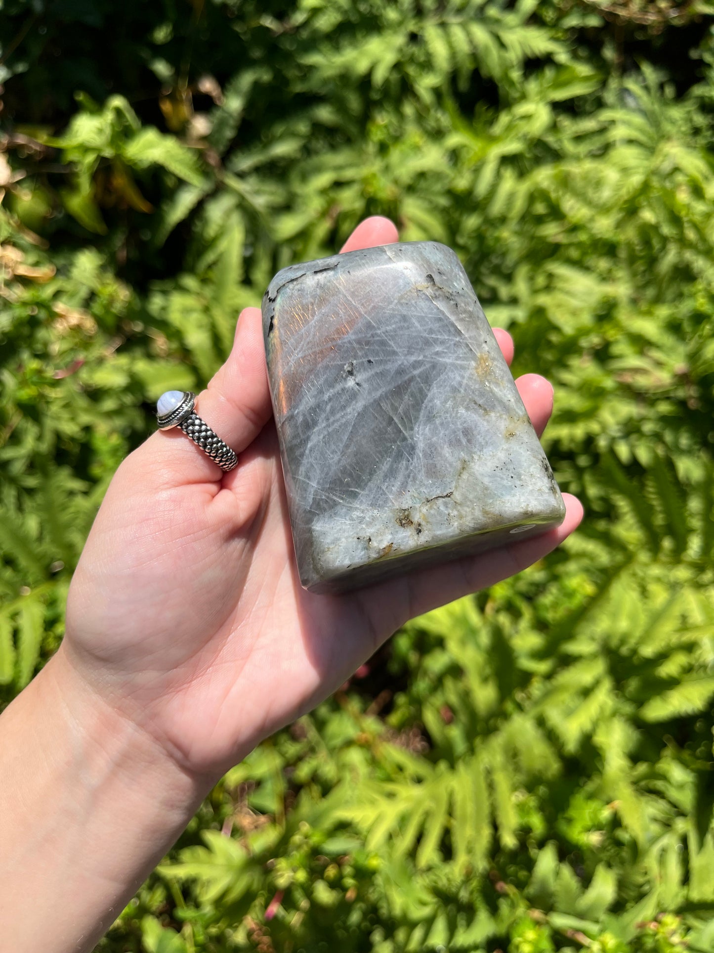 Labradorite Freeforms