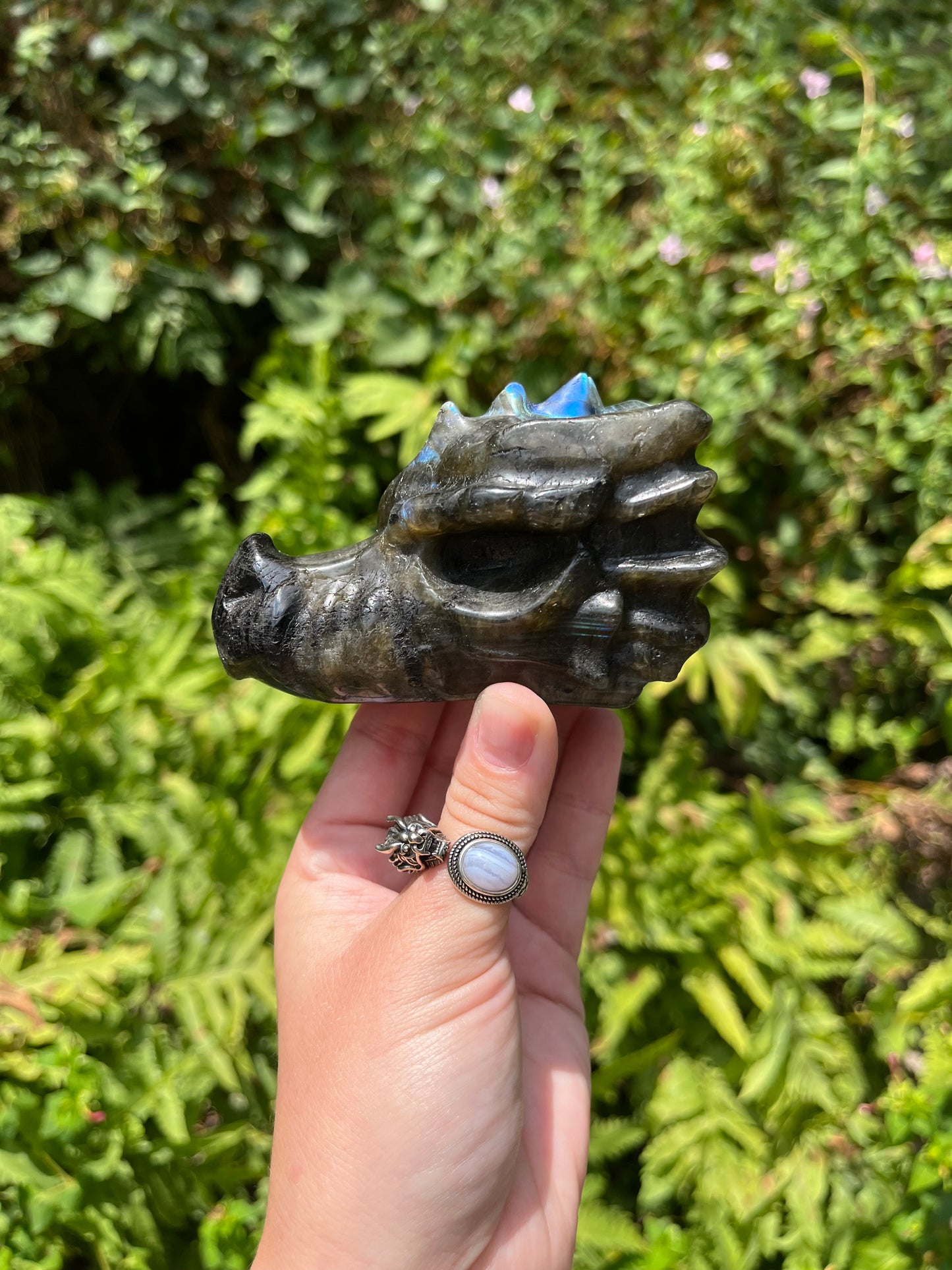 Labradorite Dragon Head