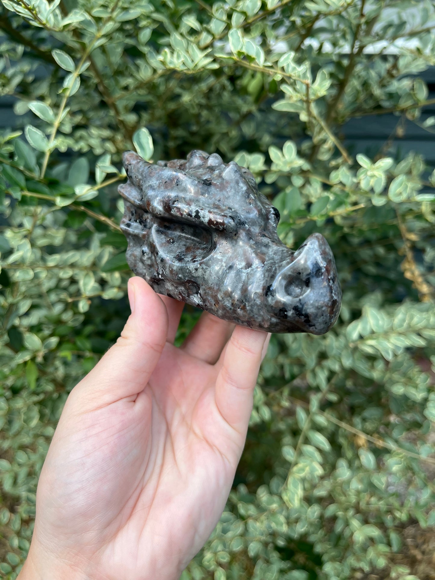 Yooperlite Dragon Head