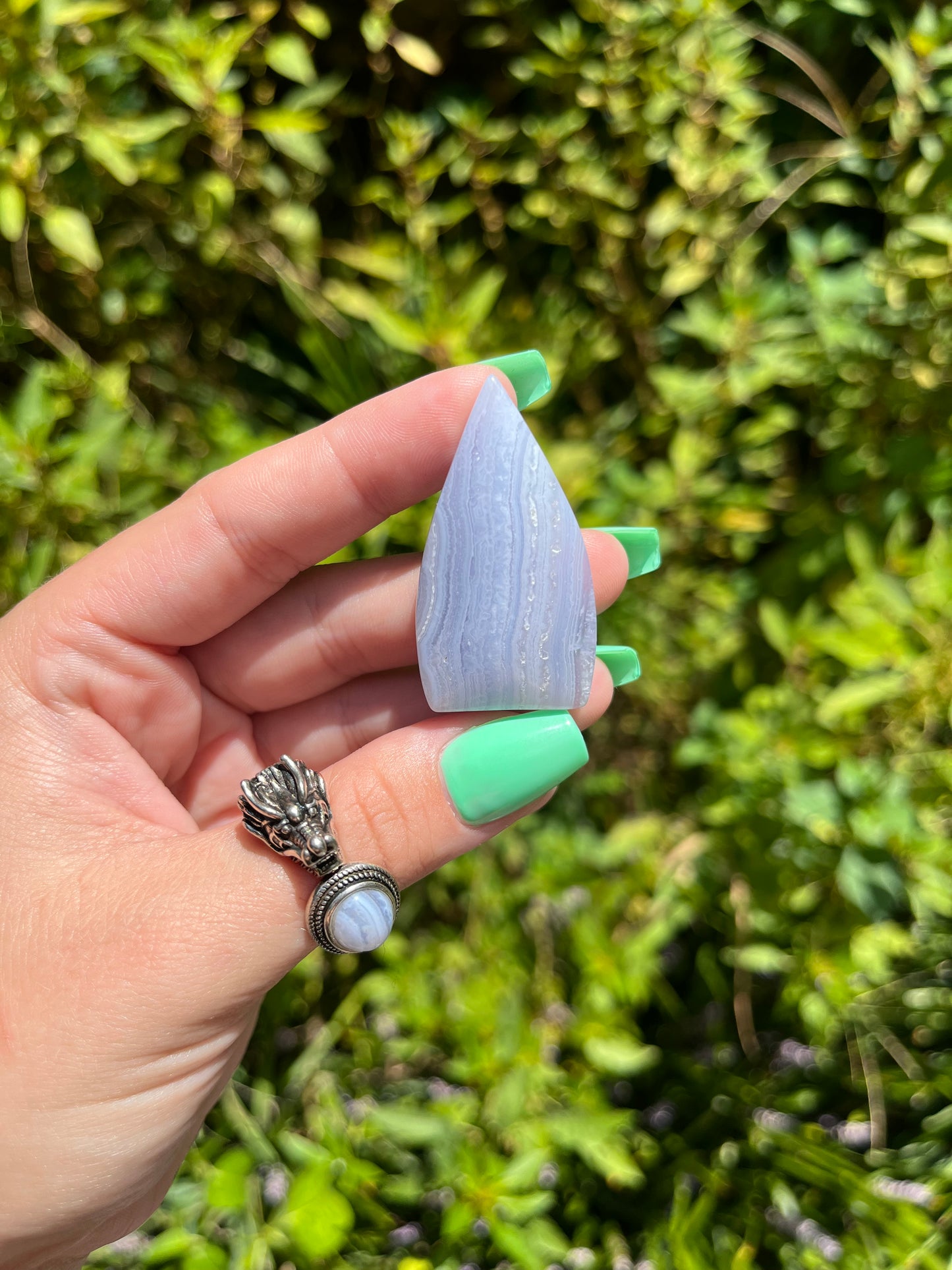 Blue Lace Agate Teardrops