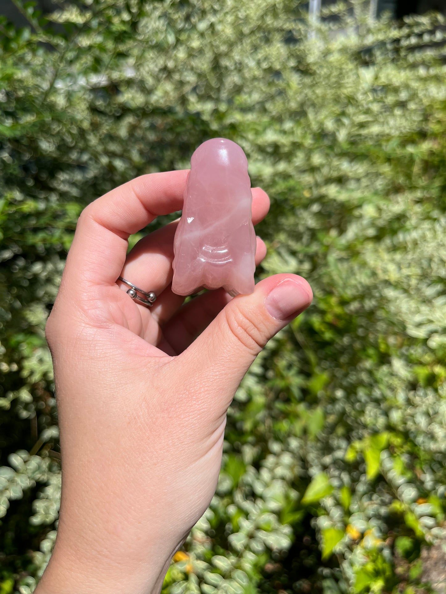 Rose Quartz Dragon Heads