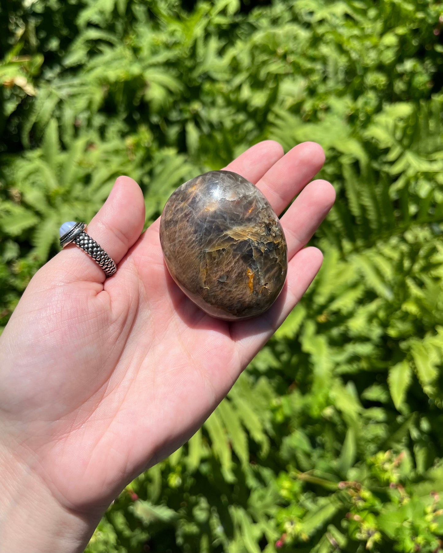 Black Moonstone Palm Stones