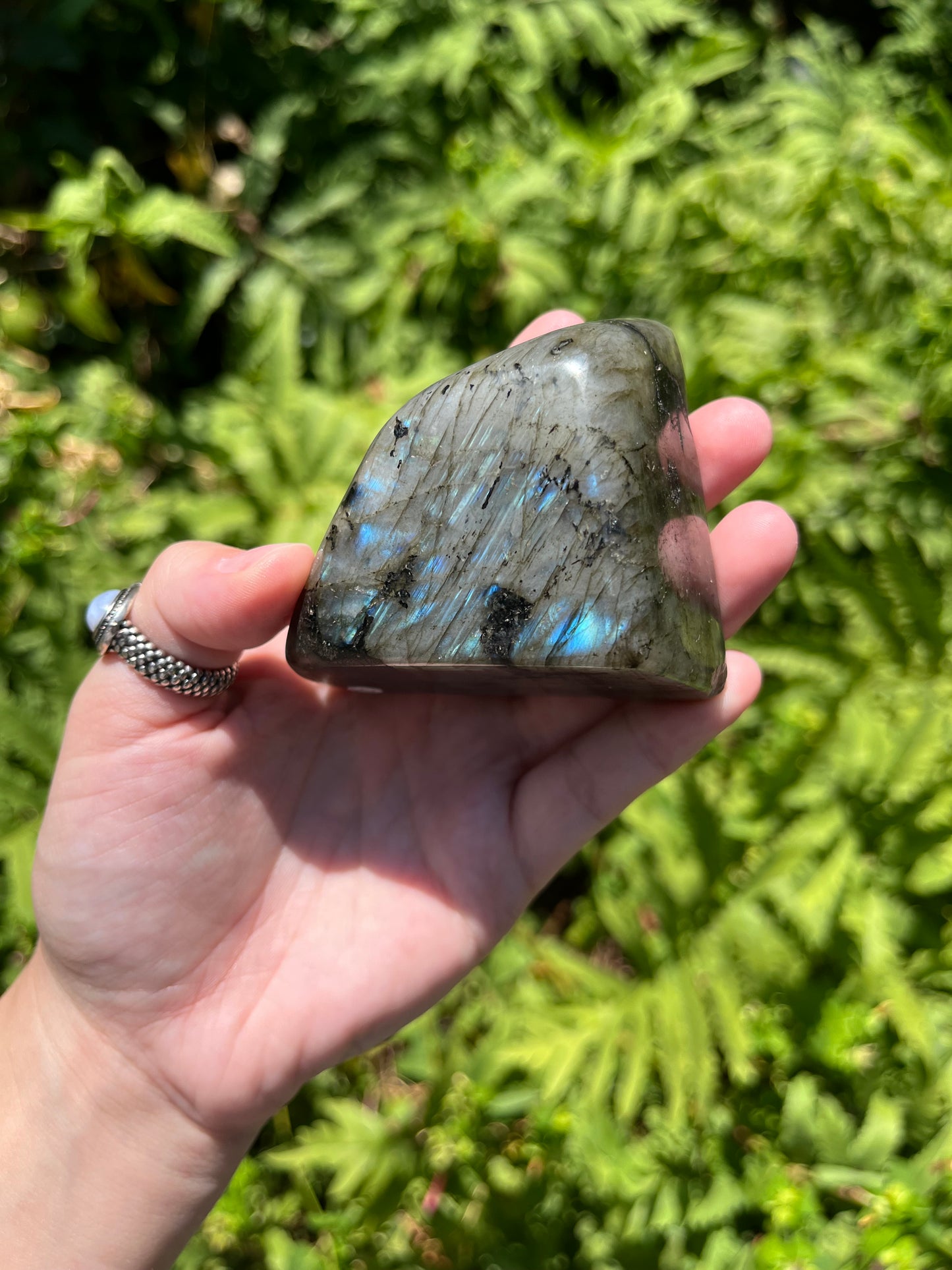 Labradorite Freeforms