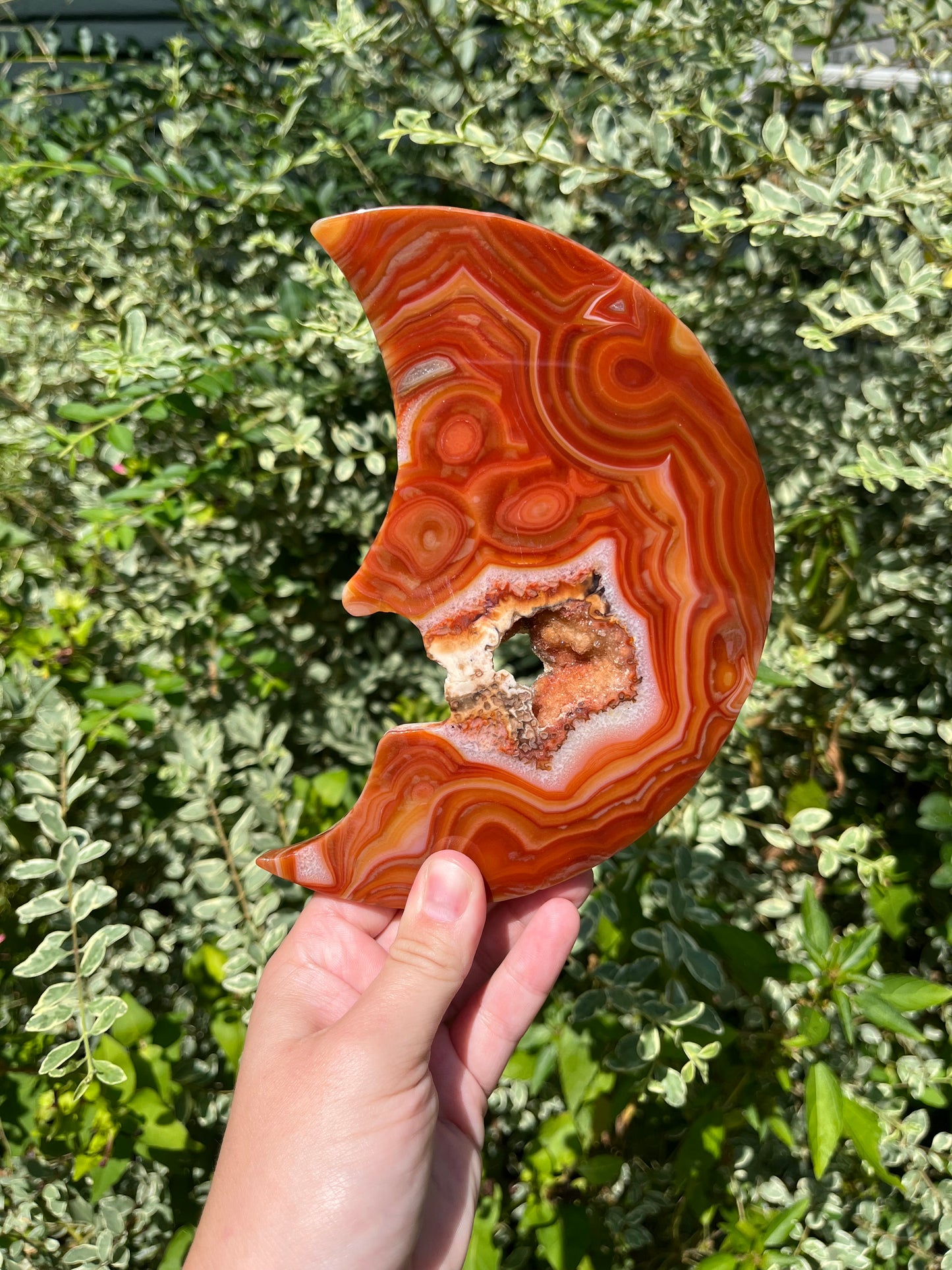 Carnelian Moon Face