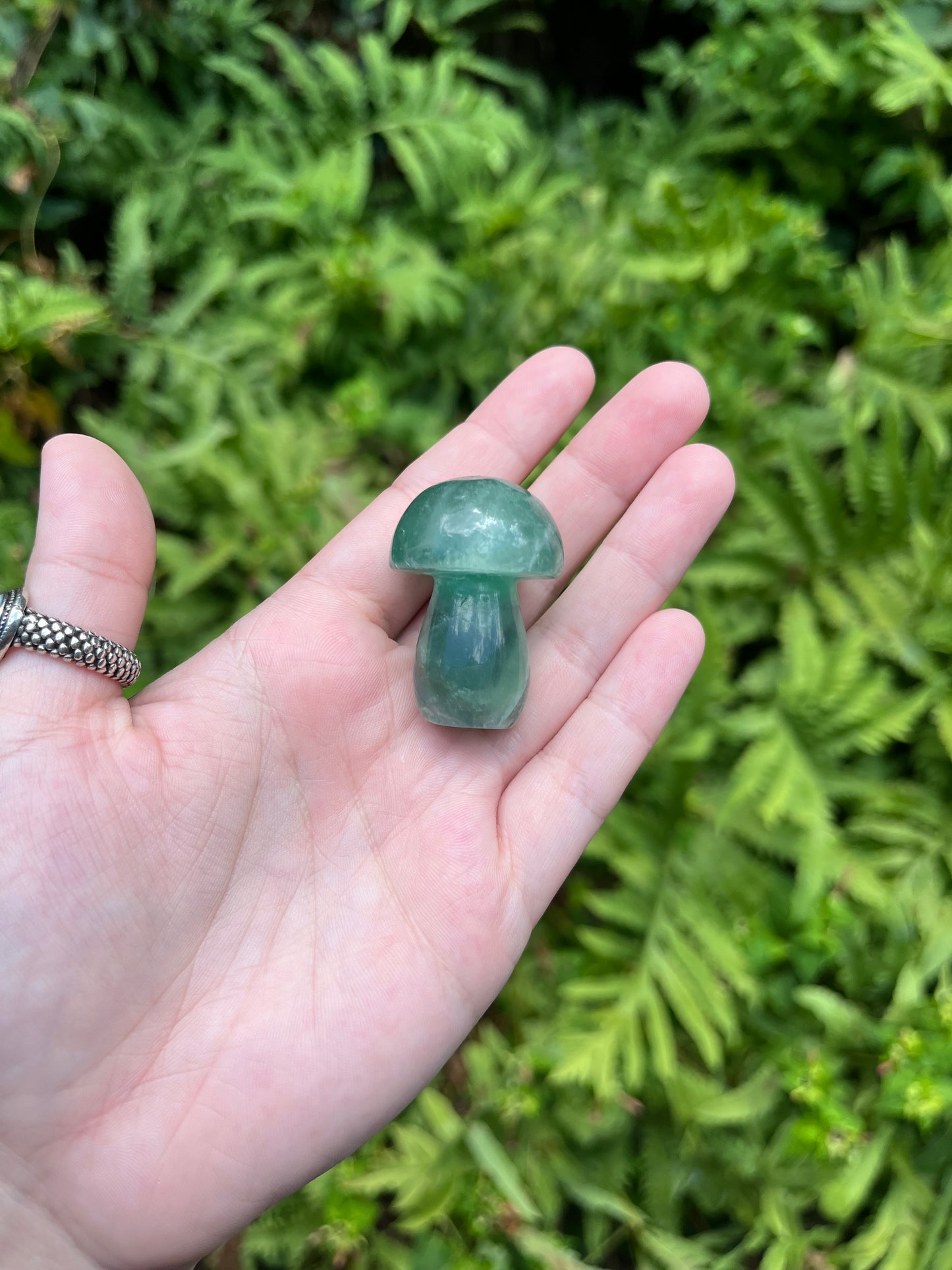 Fluorite Mushrooms