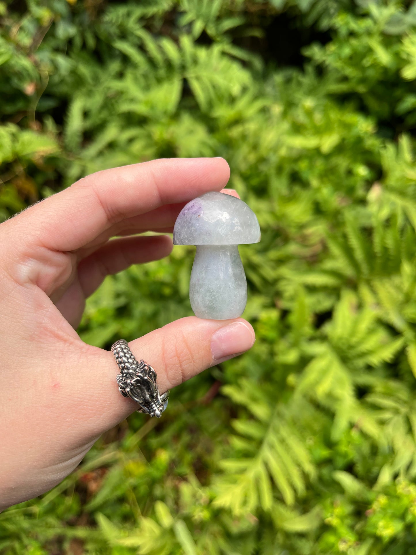 Fluorite Mushrooms