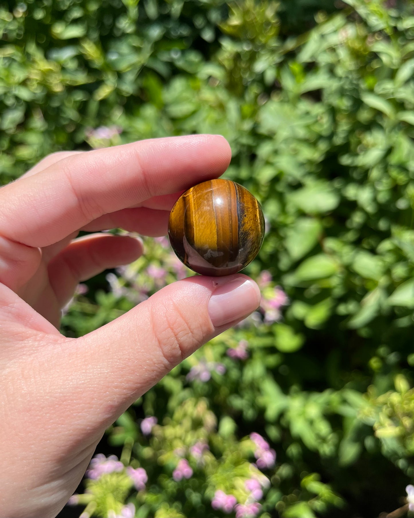 Mini Tigers Eye Spheres