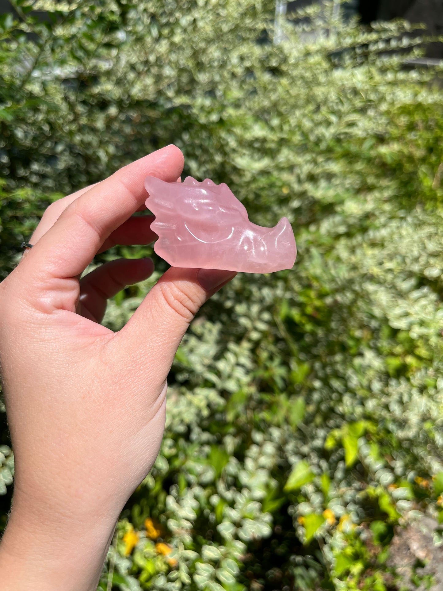 Rose Quartz Dragon Heads