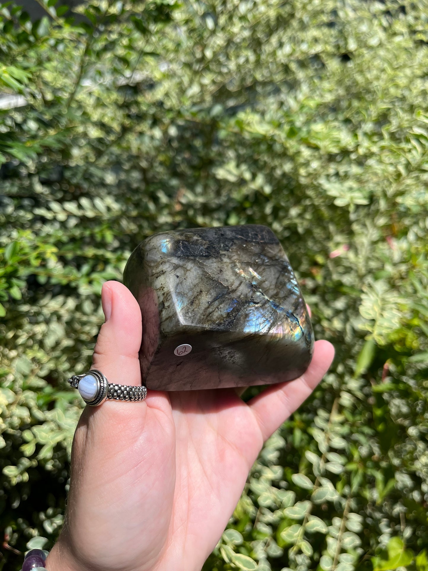 Labradorite Freeforms