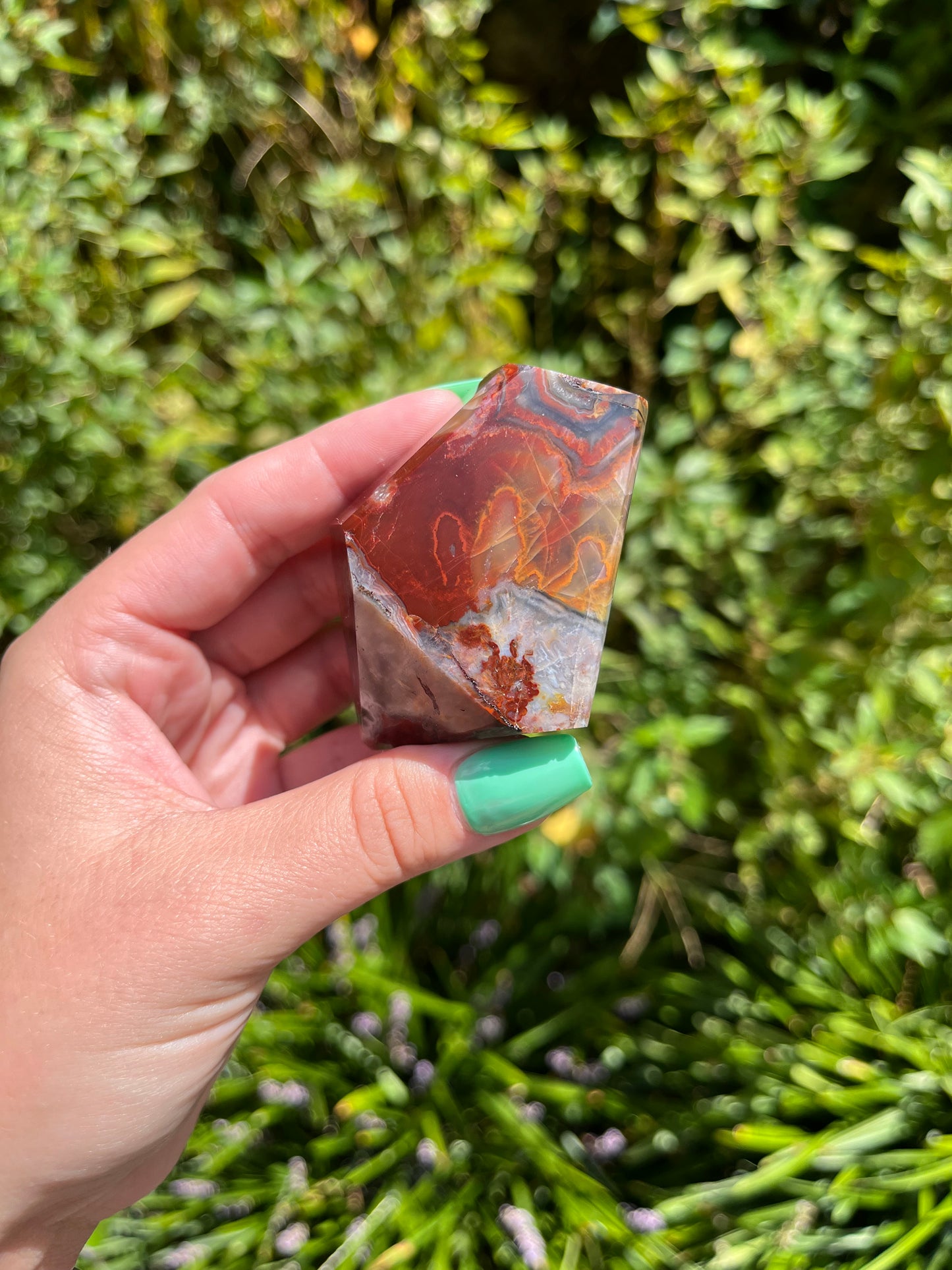 Mexican Crazy Lace Agate Freeforms