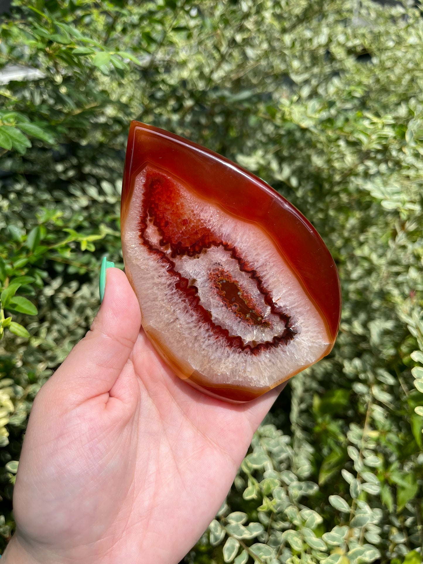 Carnelian Teardrops