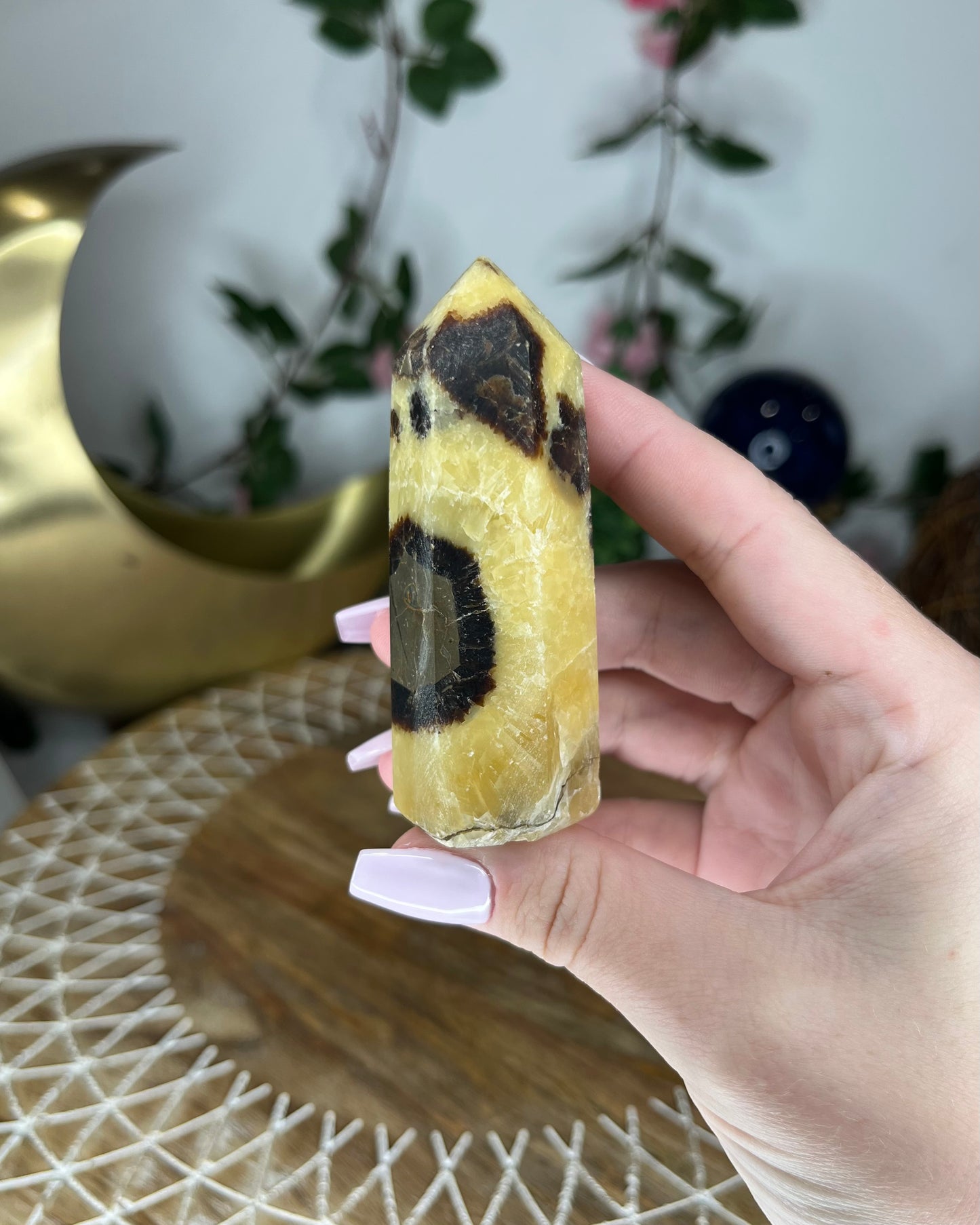 Septarian Point