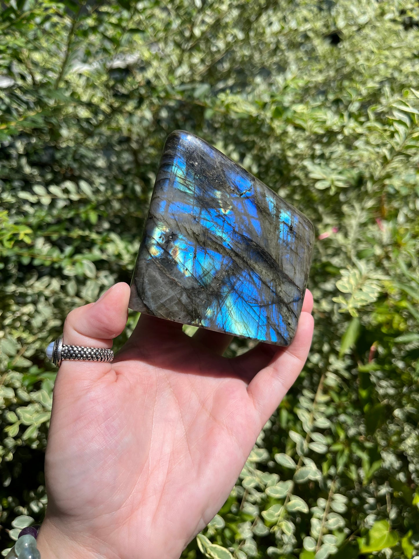 Labradorite Freeforms