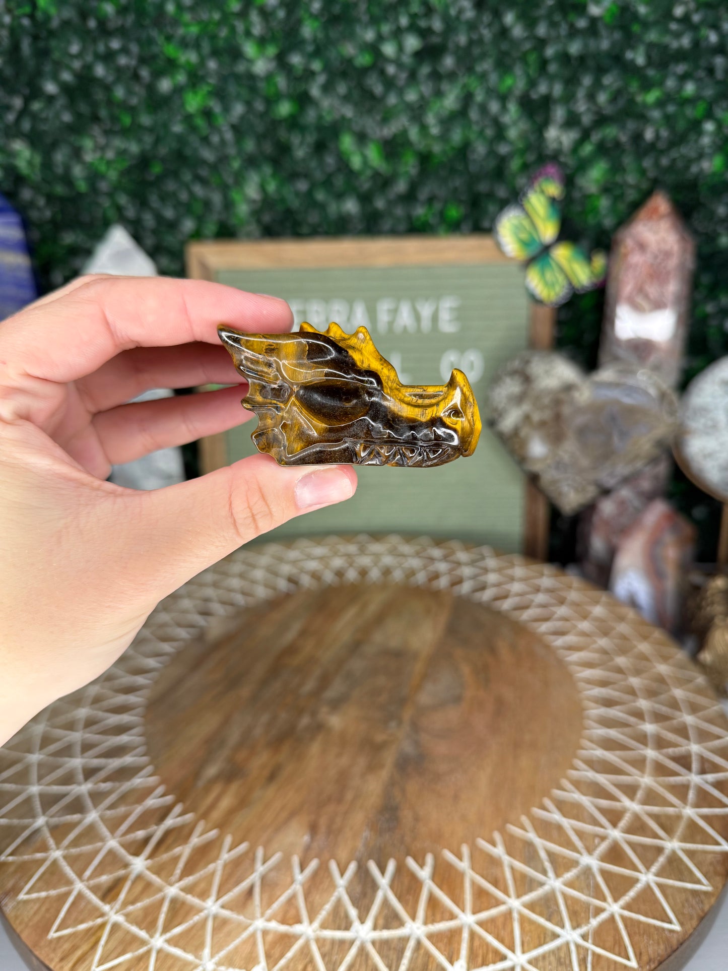 Tiger’s Eye Dragon Head