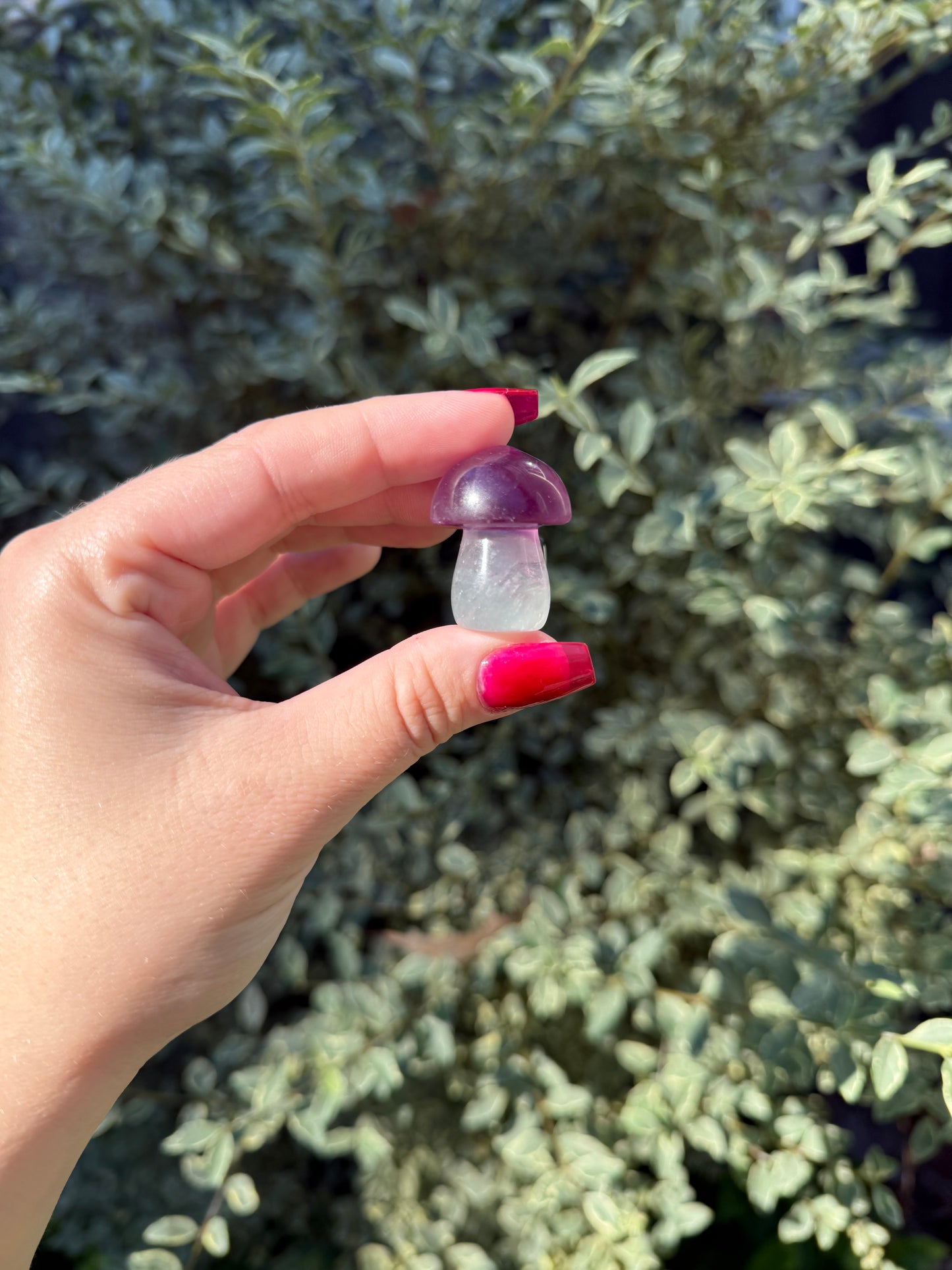 Crystal Mushroom Car Vent Clips