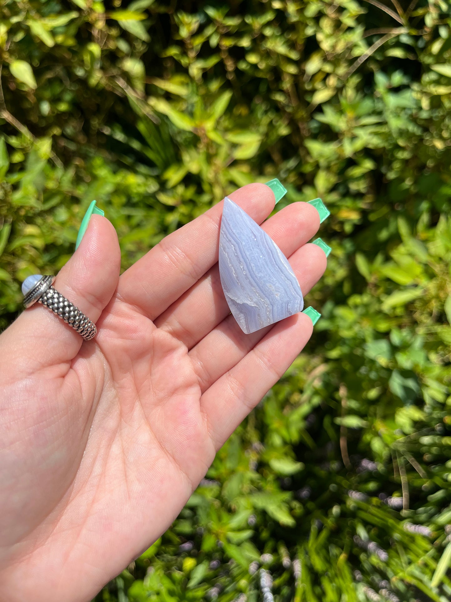 Blue Lace Agate Teardrops