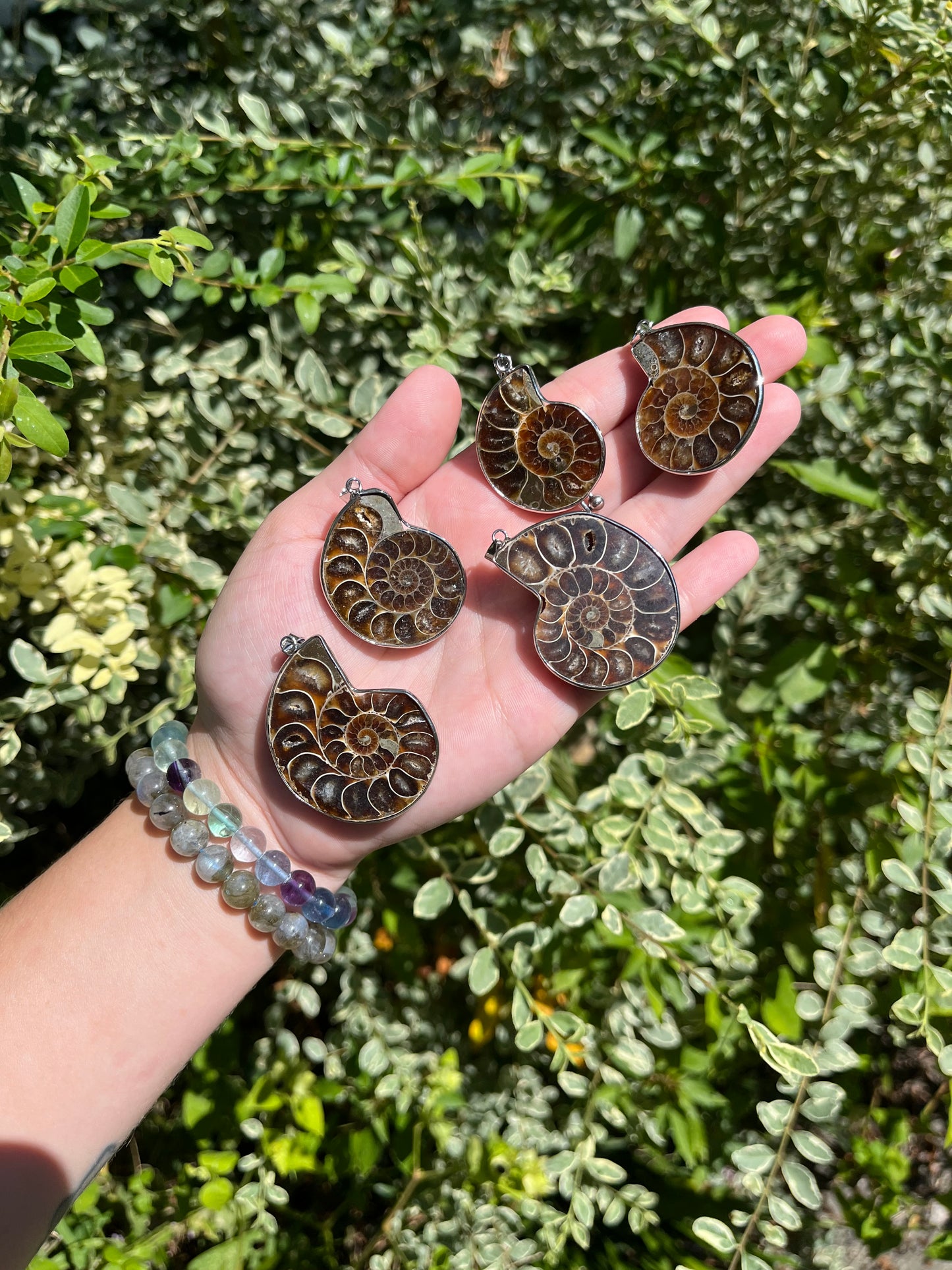 Ammonite Necklaces