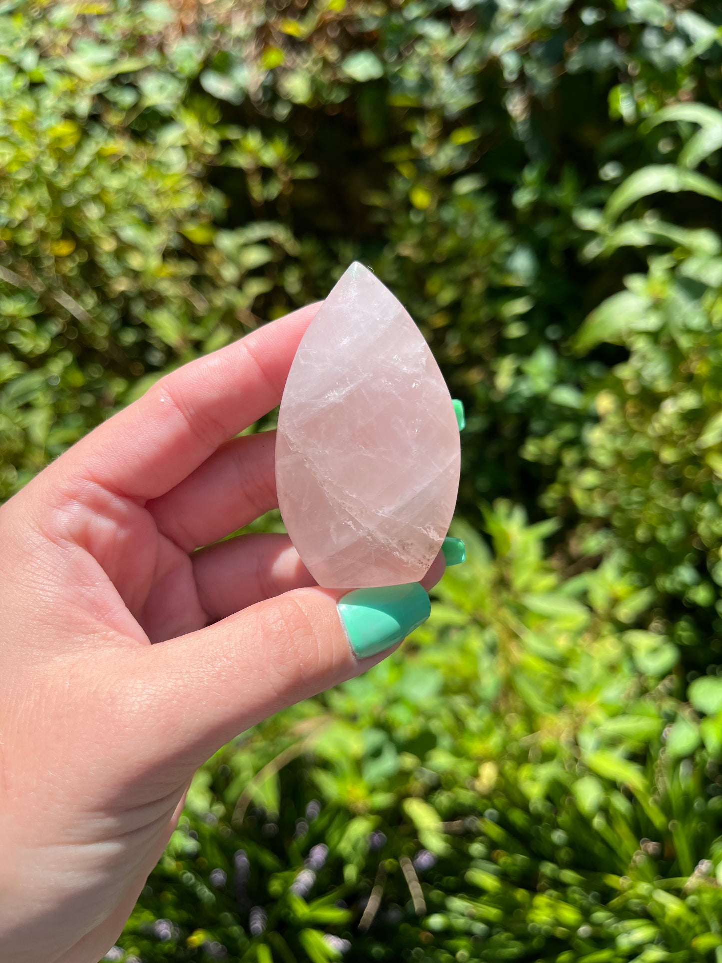 Rose Quartz Teardrops