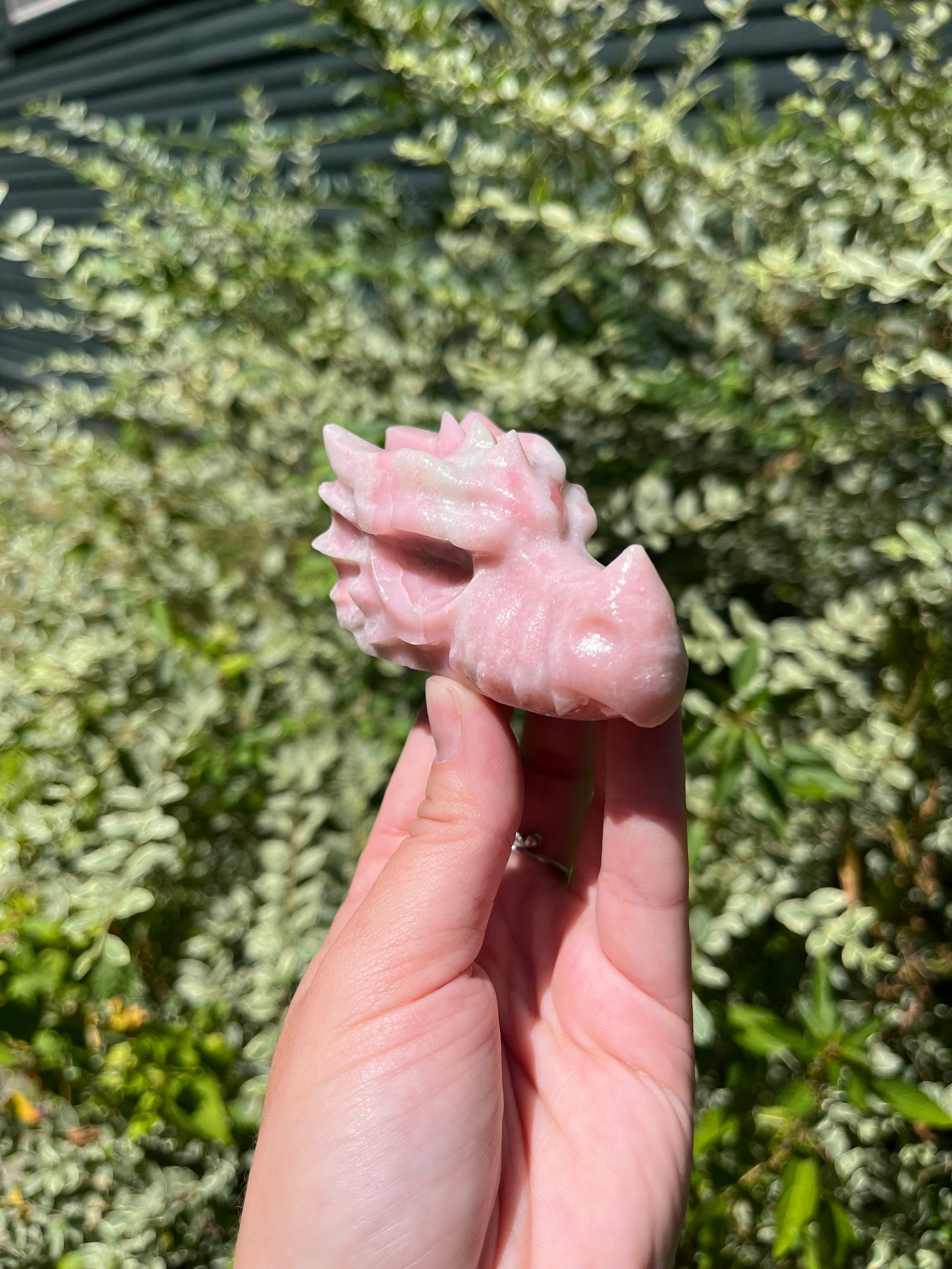 Pink Opal Dragon Head