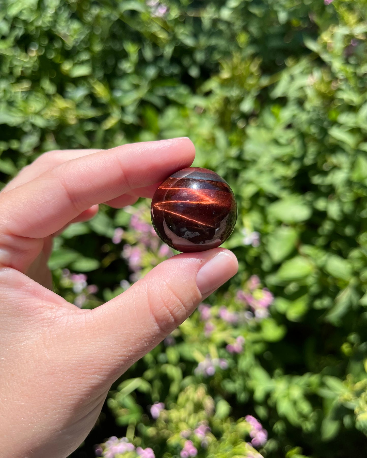 Mini Tigers Eye Spheres