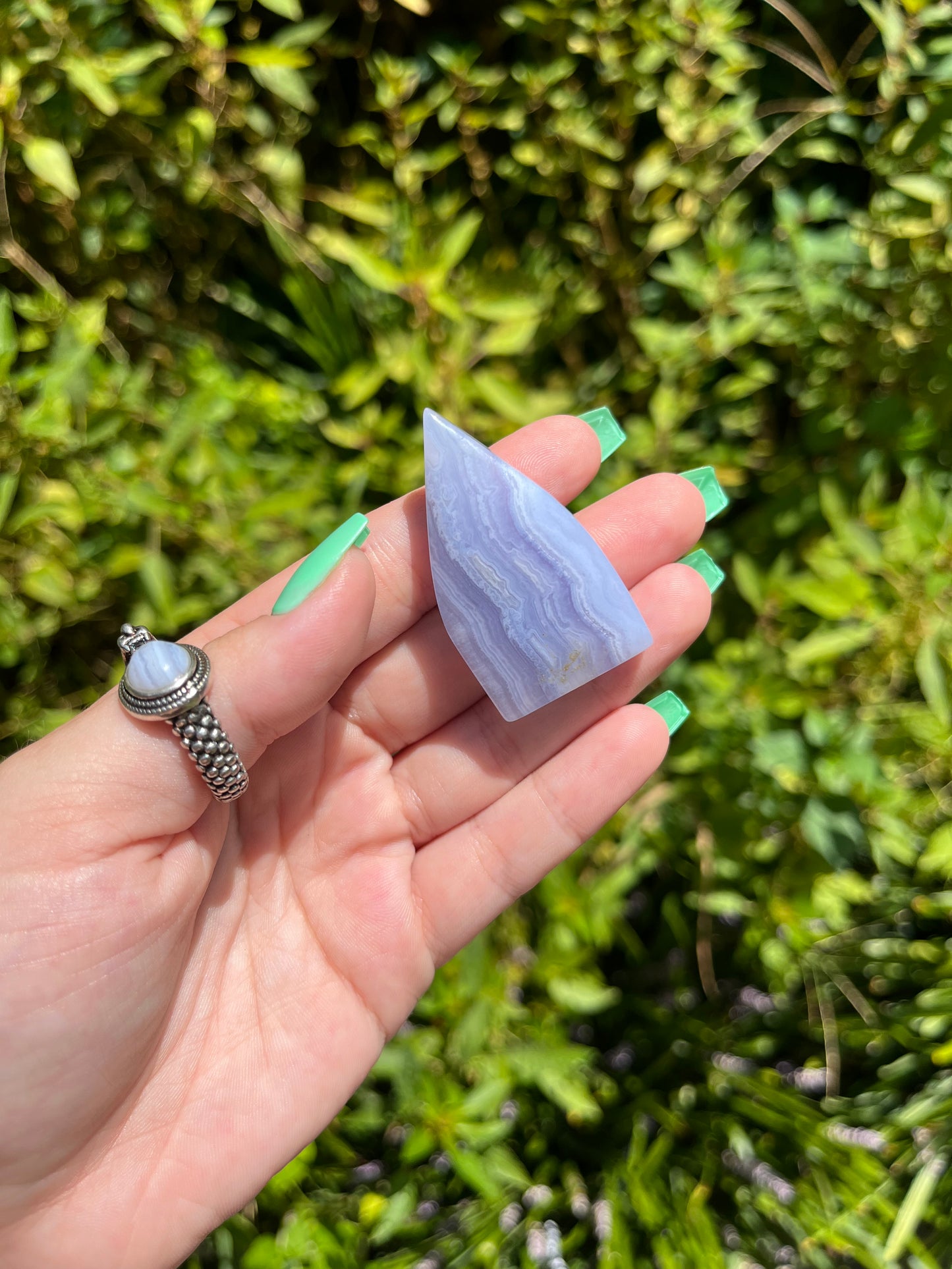 Blue Lace Agate Teardrops