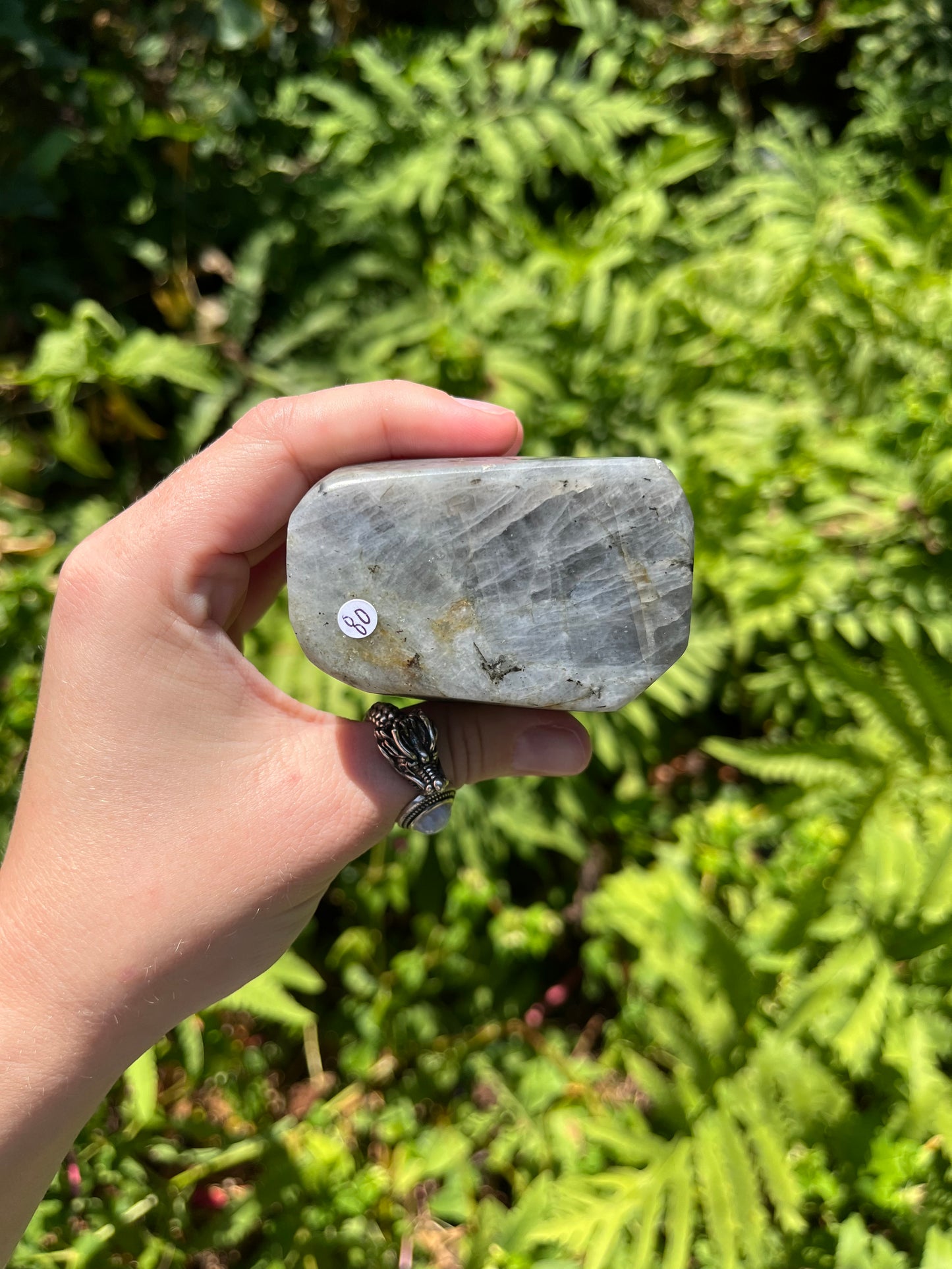 Labradorite Freeforms