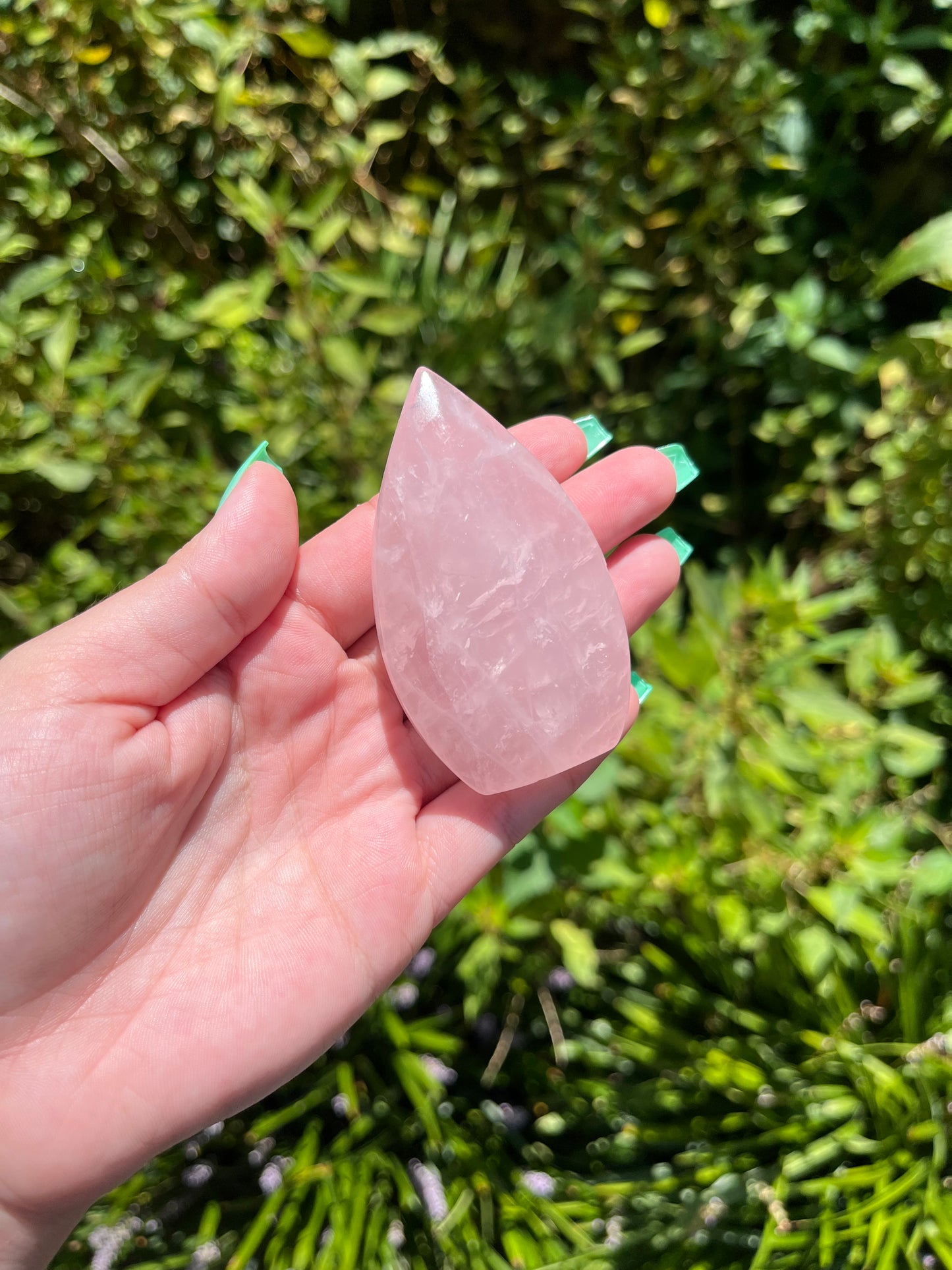 Rose Quartz Teardrops