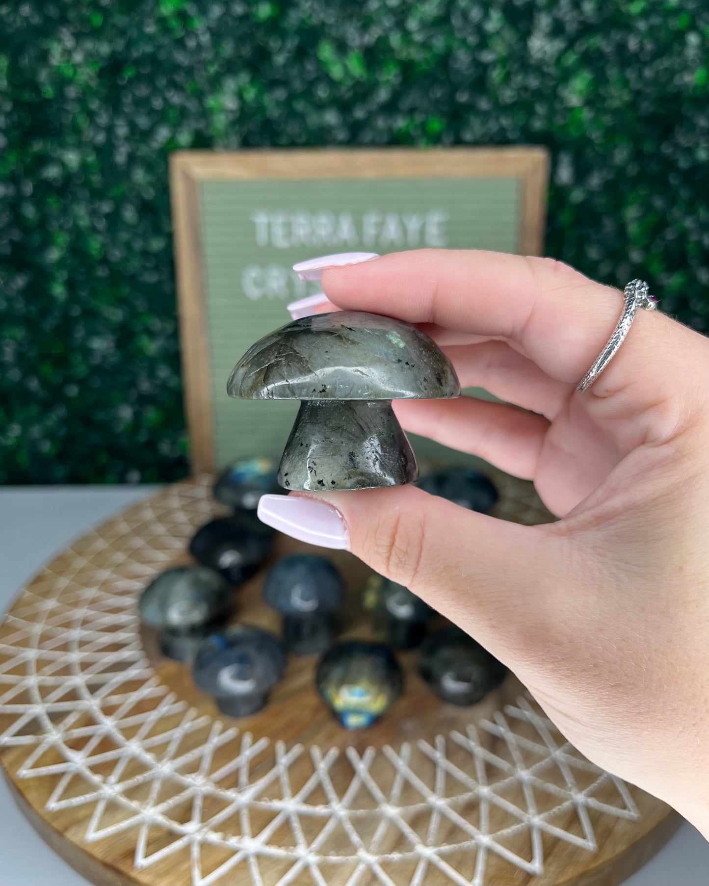 Labradorite Mushrooms