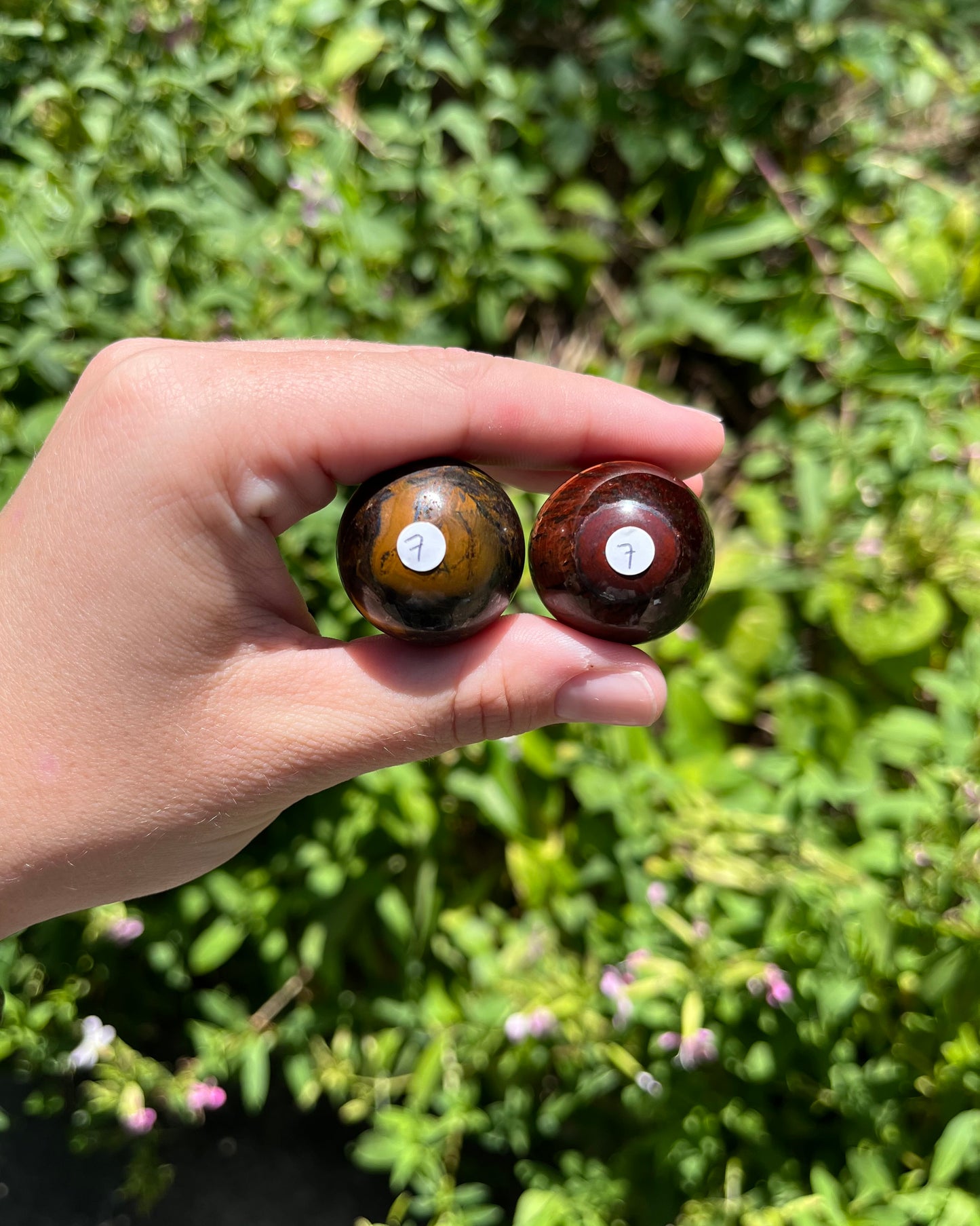 Mini Tigers Eye Spheres