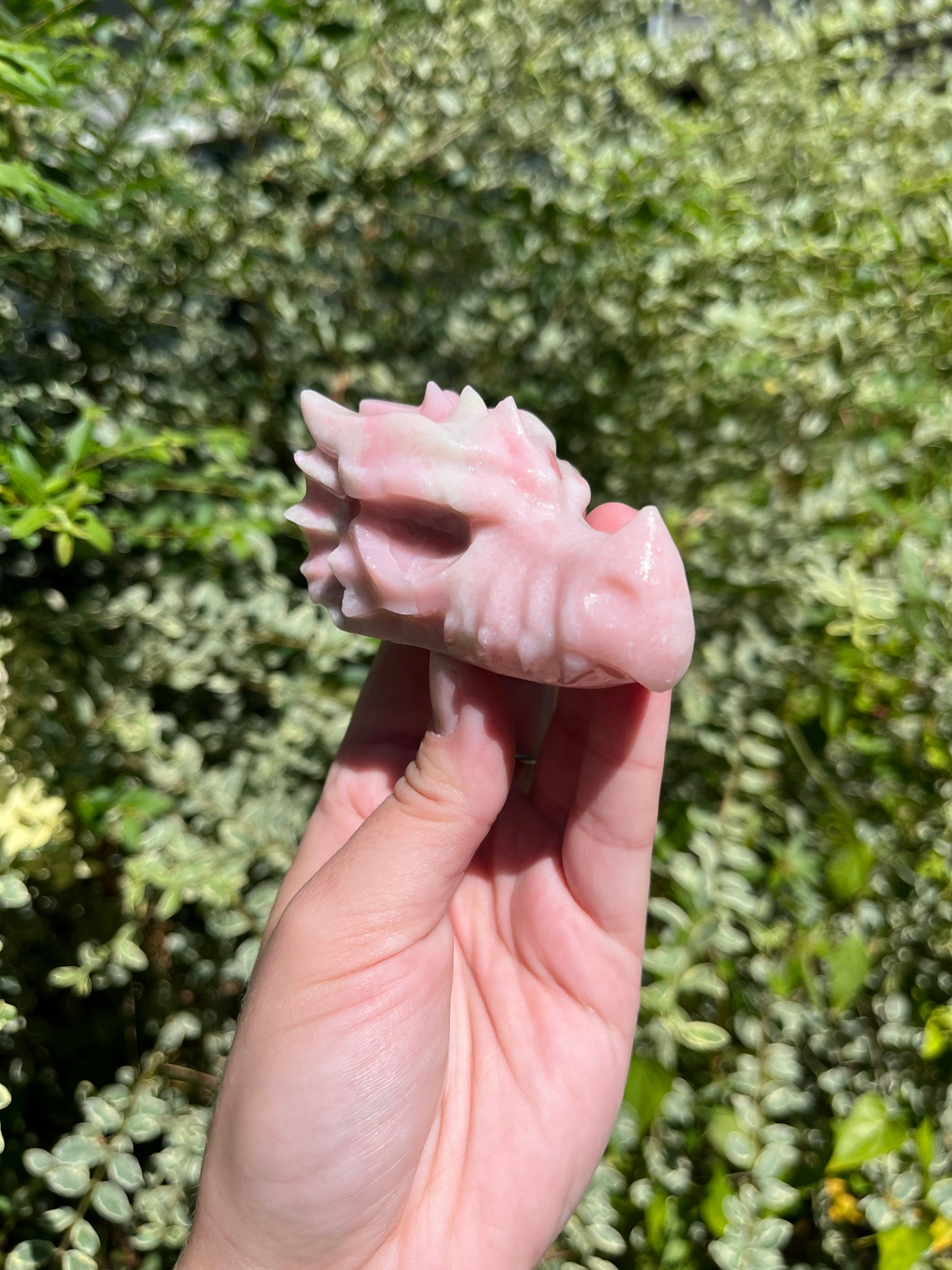 Pink Opal Dragon Head