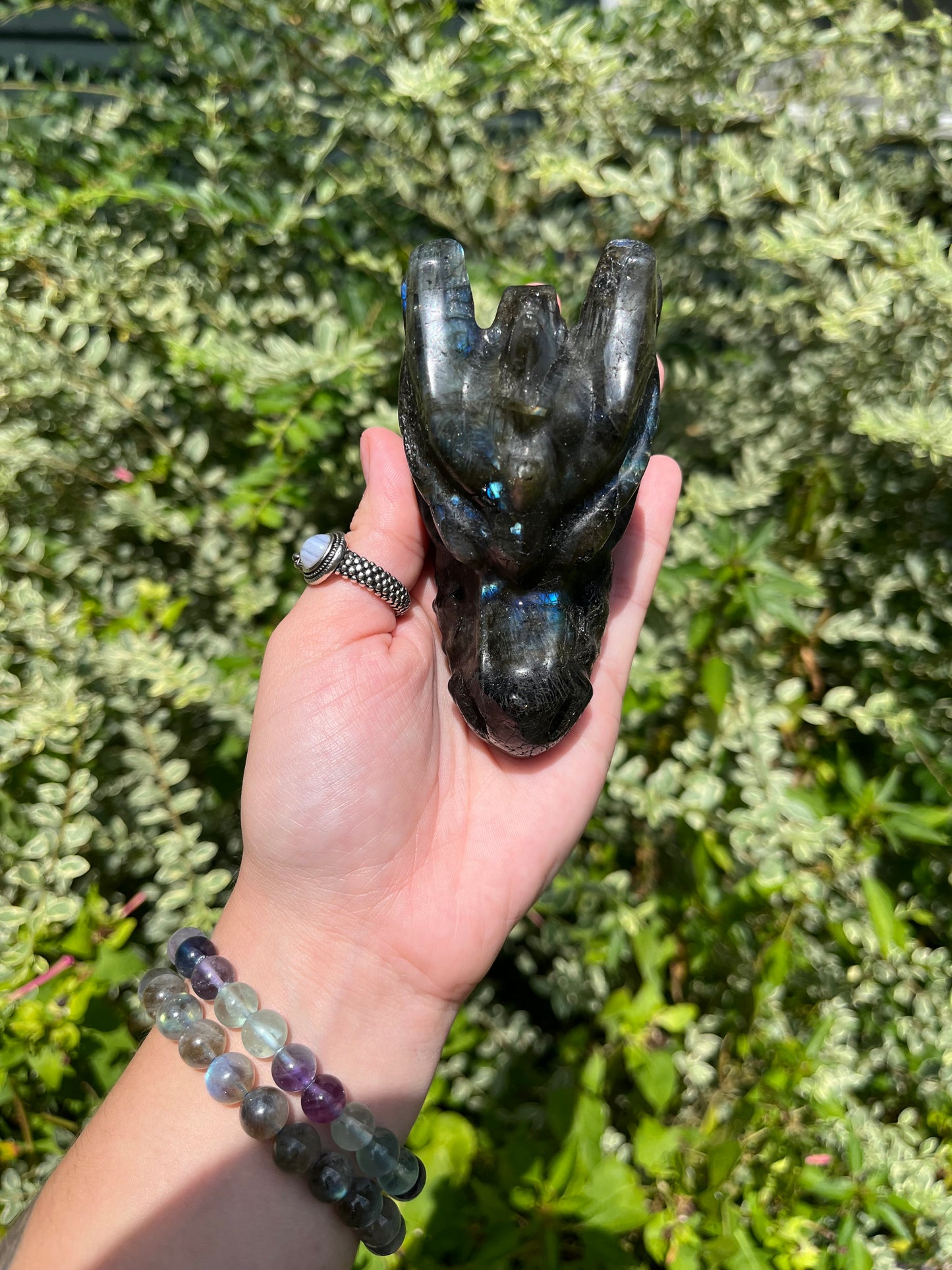 Labradorite Dragon Head