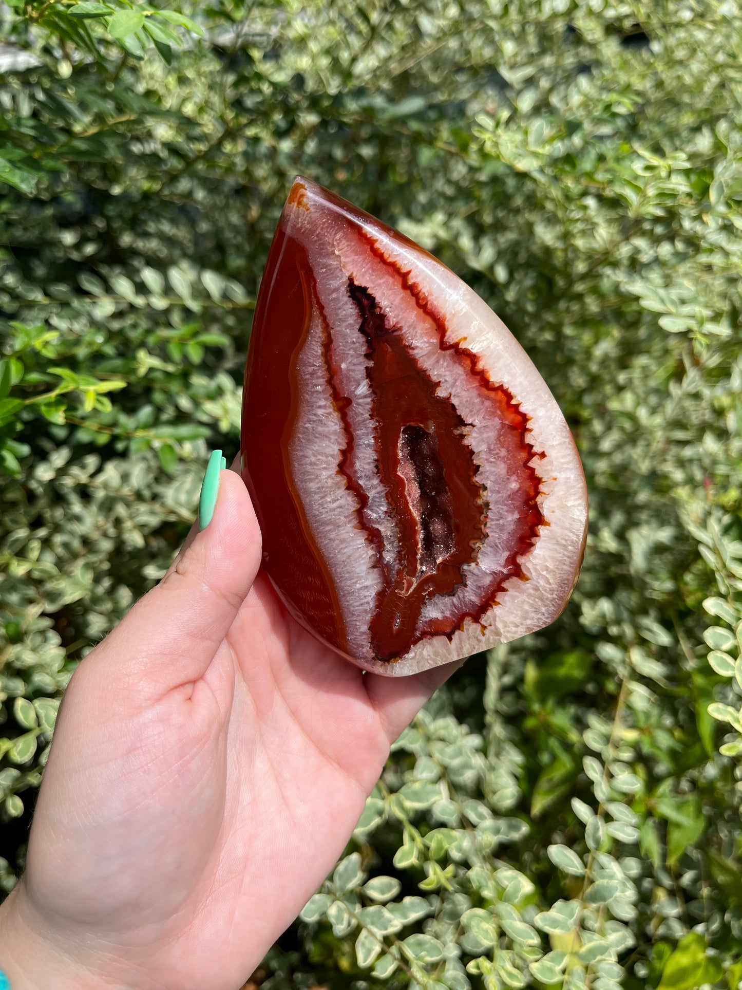 Carnelian Teardrops