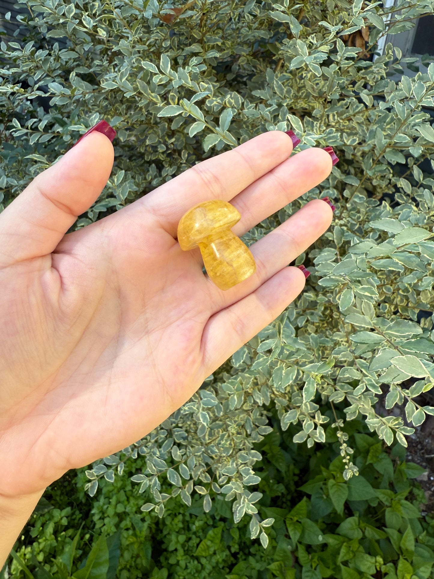 Crystal Mushroom Car Vent Clips