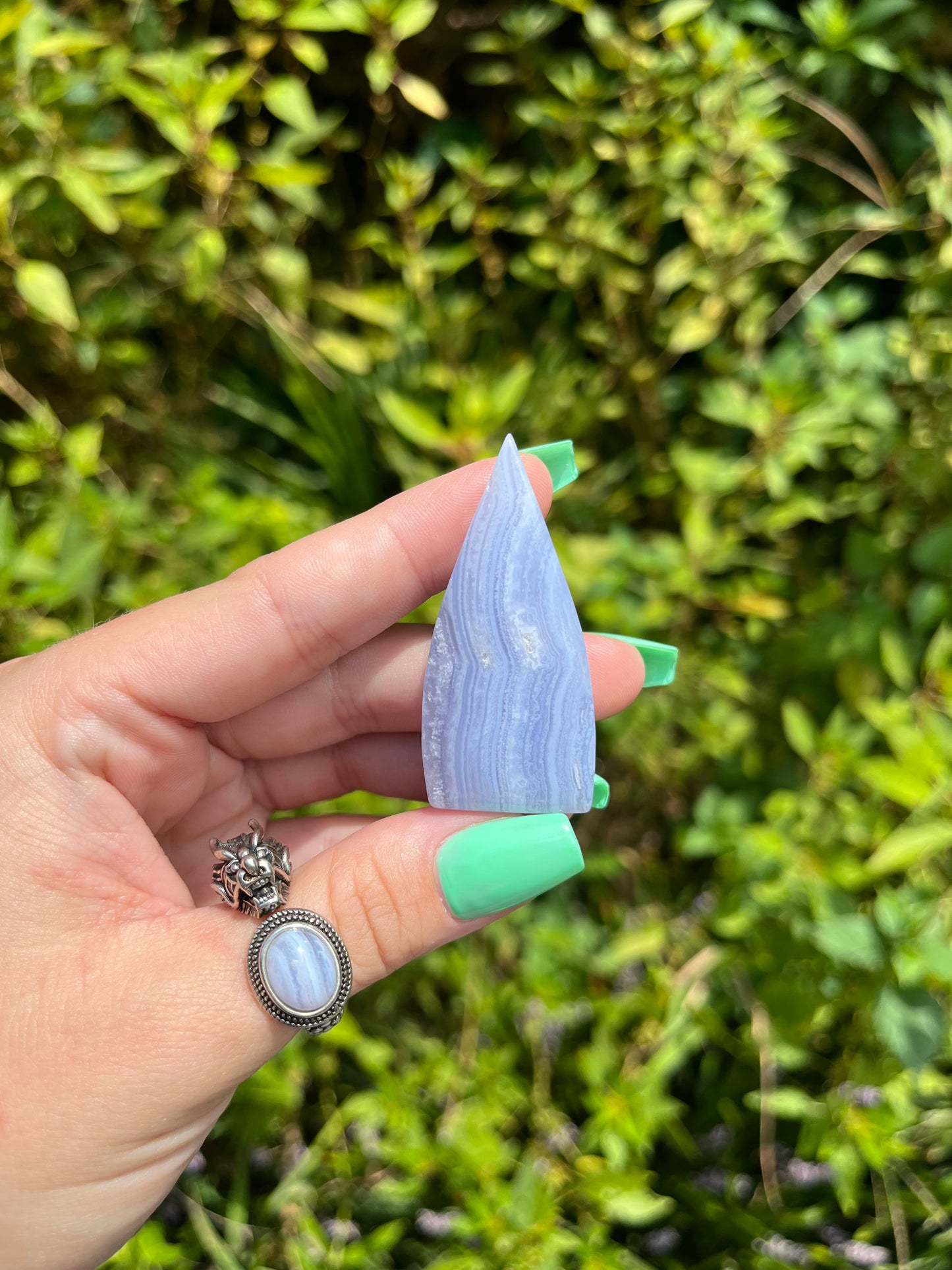 Blue Lace Agate Teardrops