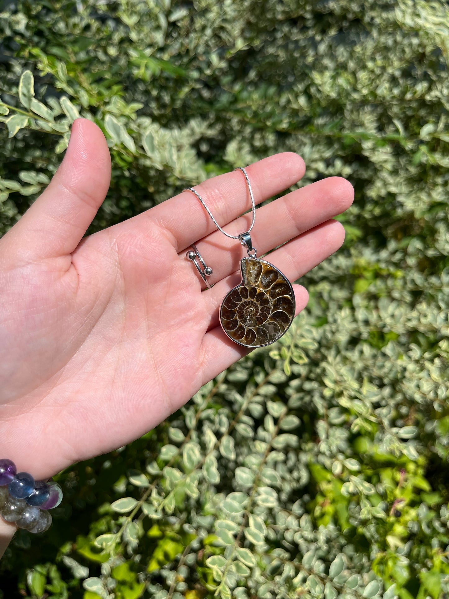 Ammonite Necklaces