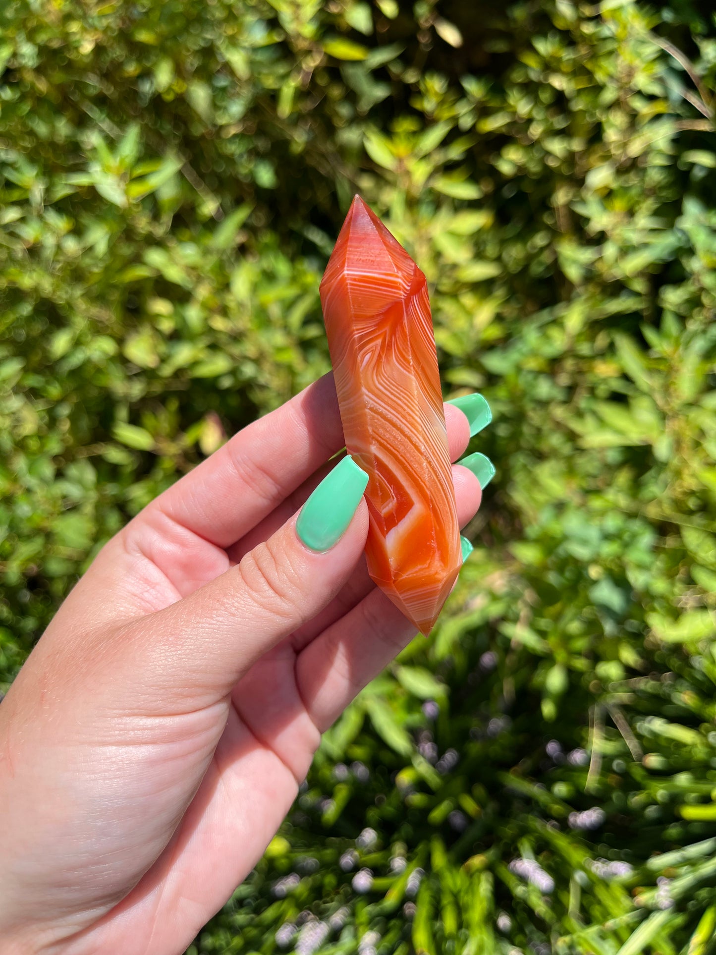 Carnelian DTs