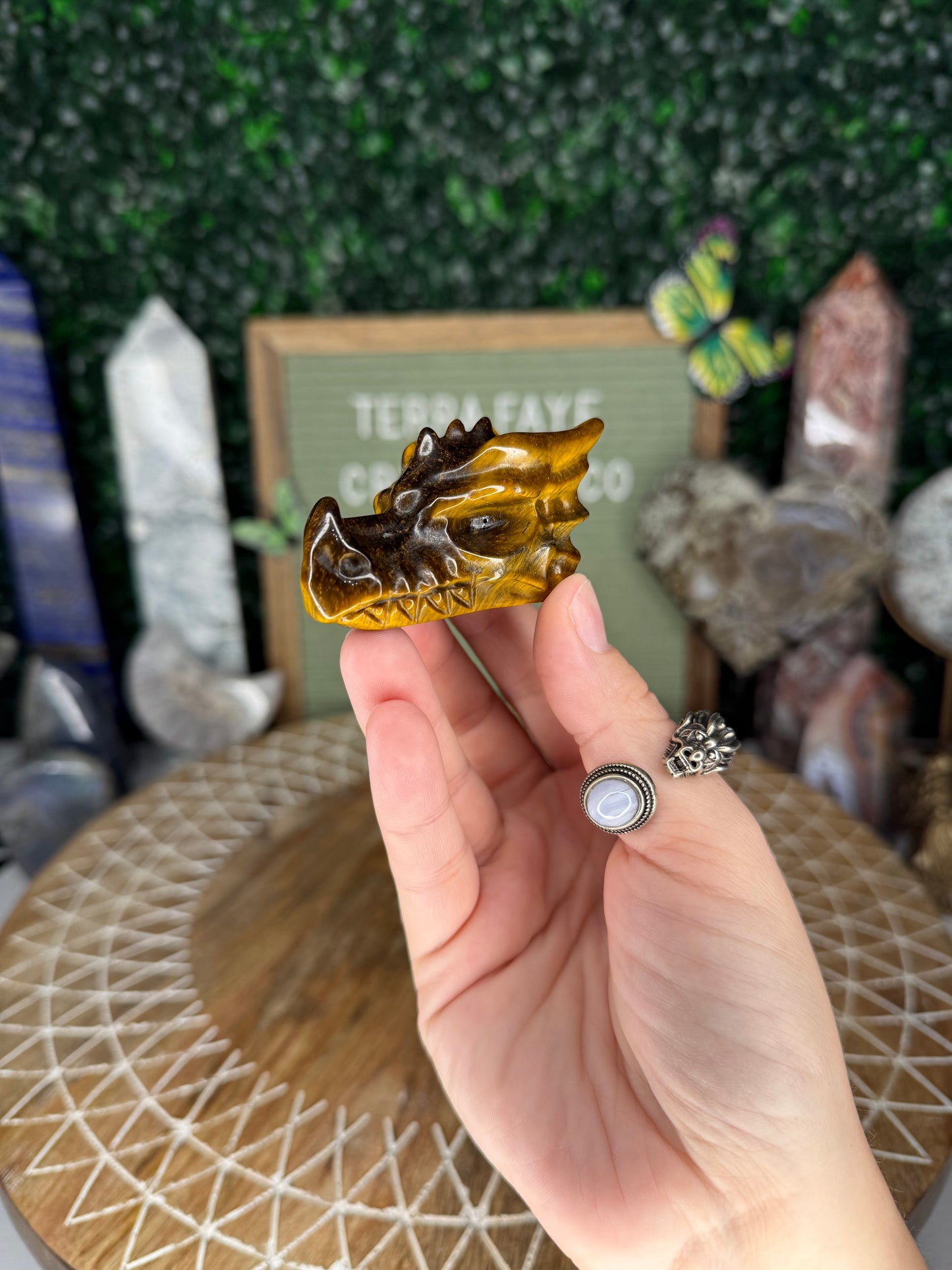 Tiger’s Eye Dragon Head