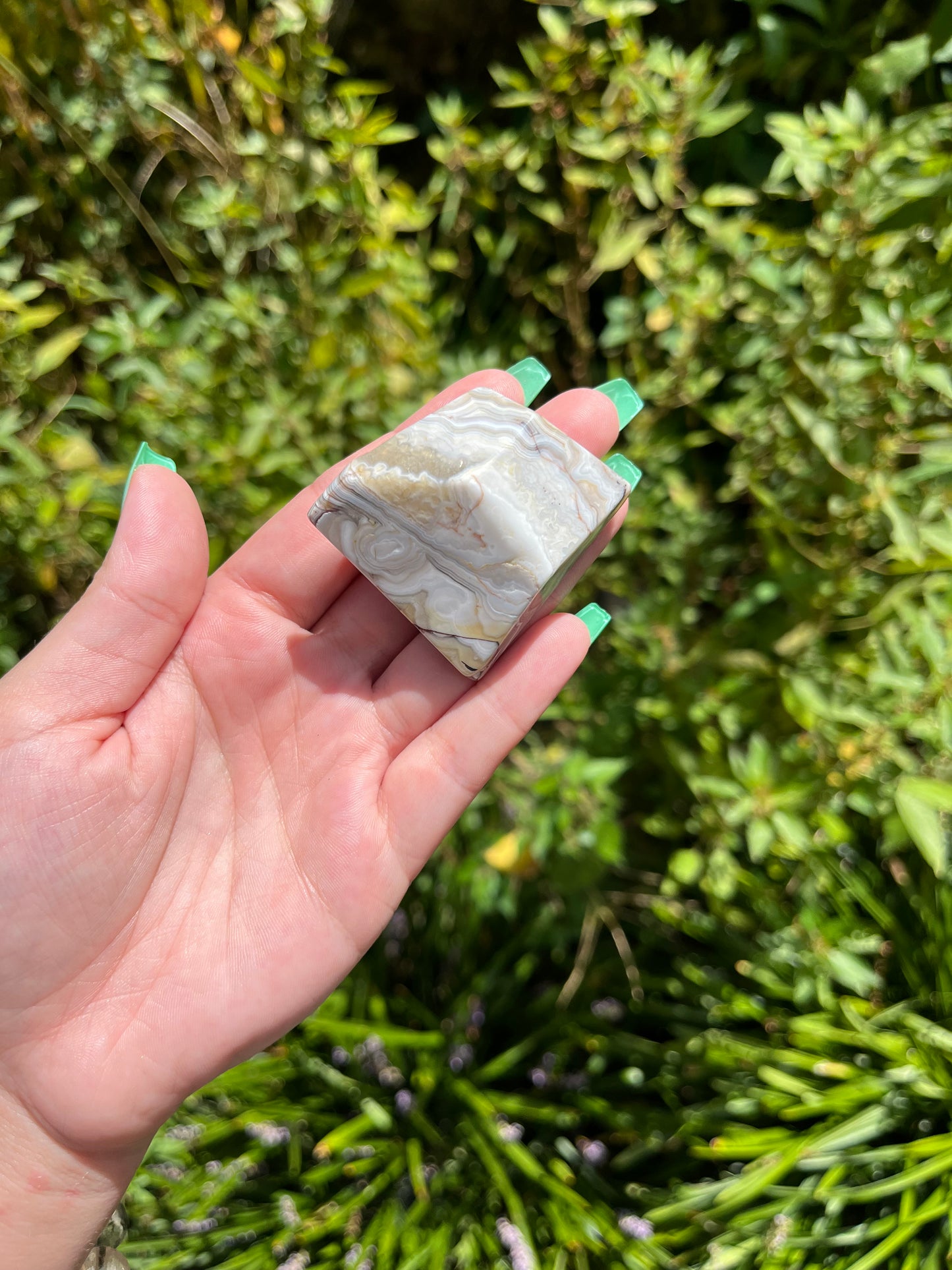 Mexican Crazy Lace Agate Freeforms