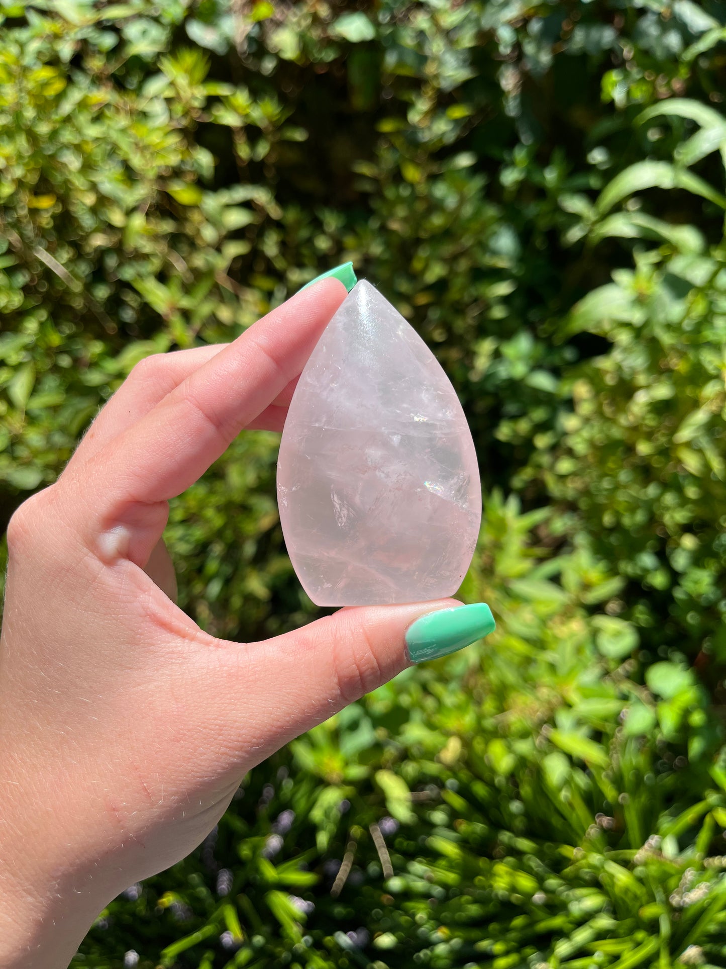 Rose Quartz Teardrops