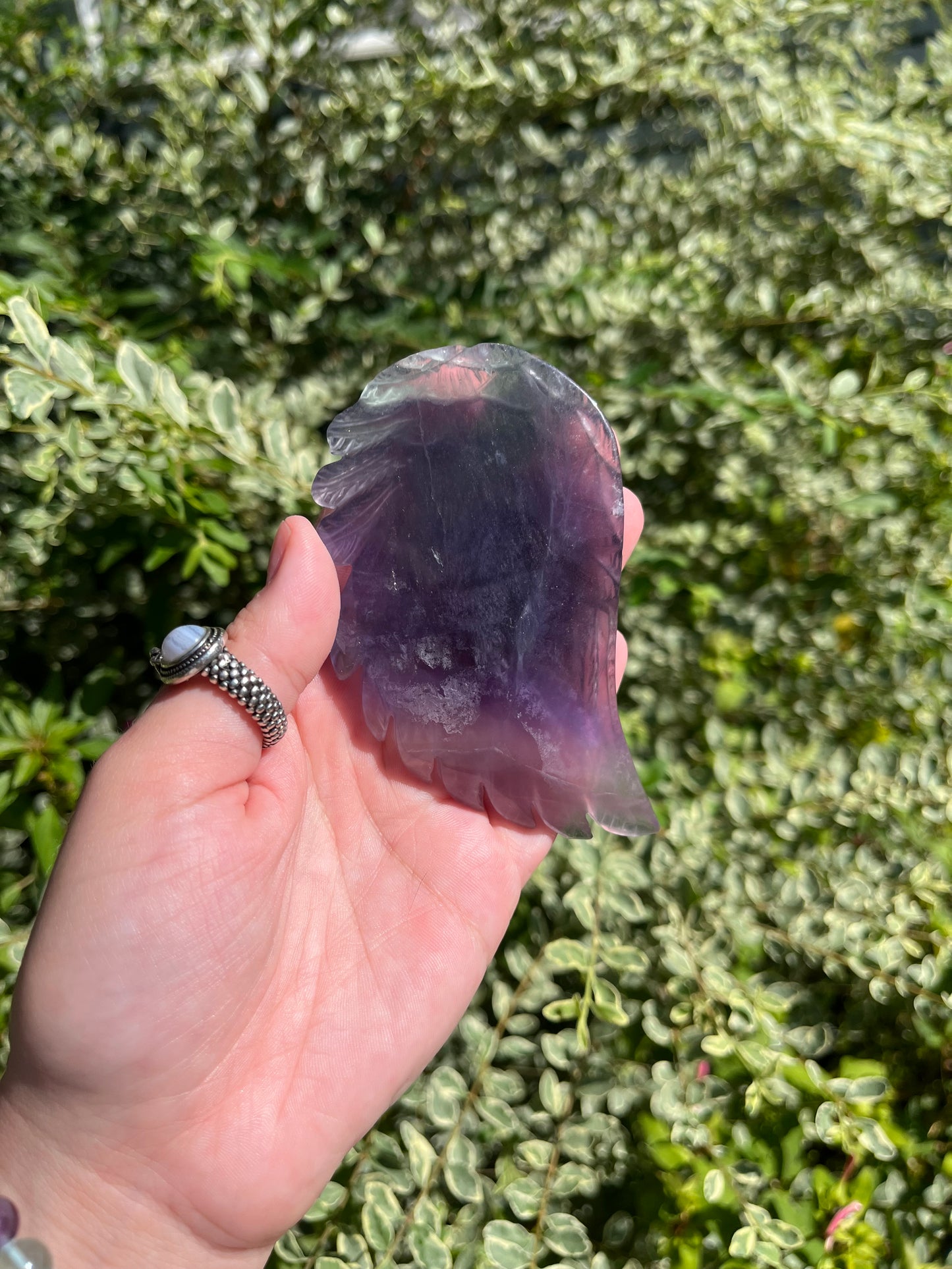 Fluorite Wings