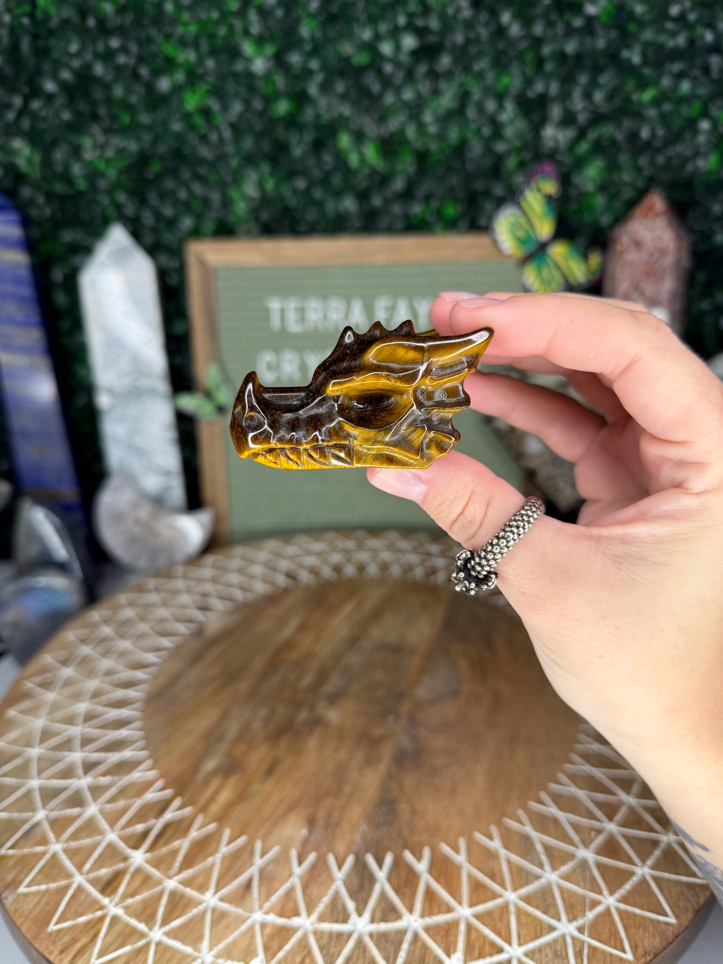 Tiger’s Eye Dragon Head