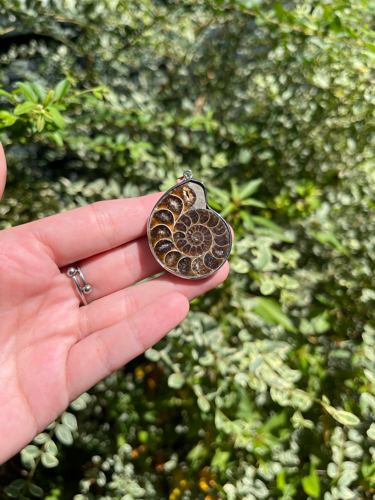 Ammonite Necklaces