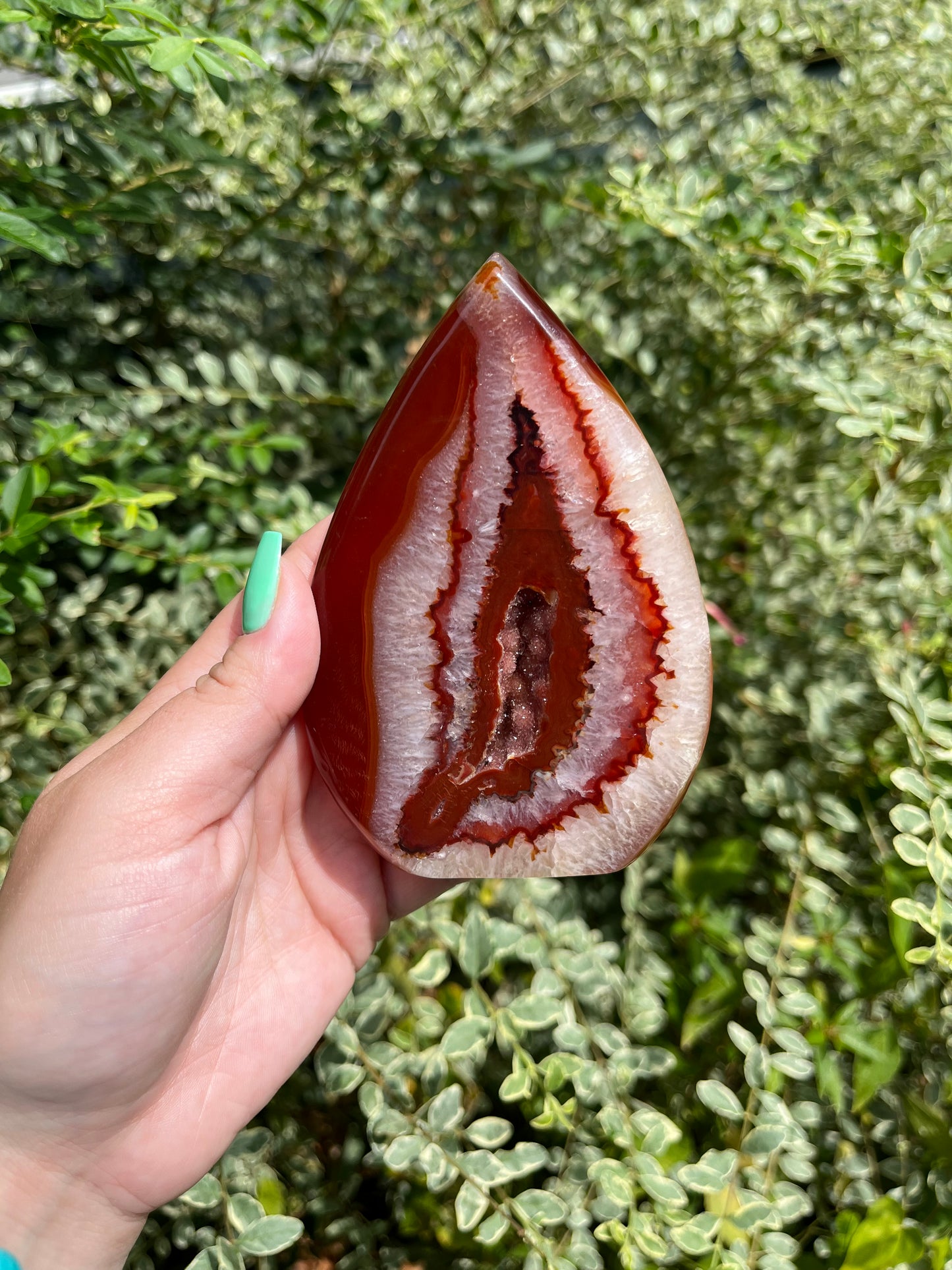 Carnelian Teardrops