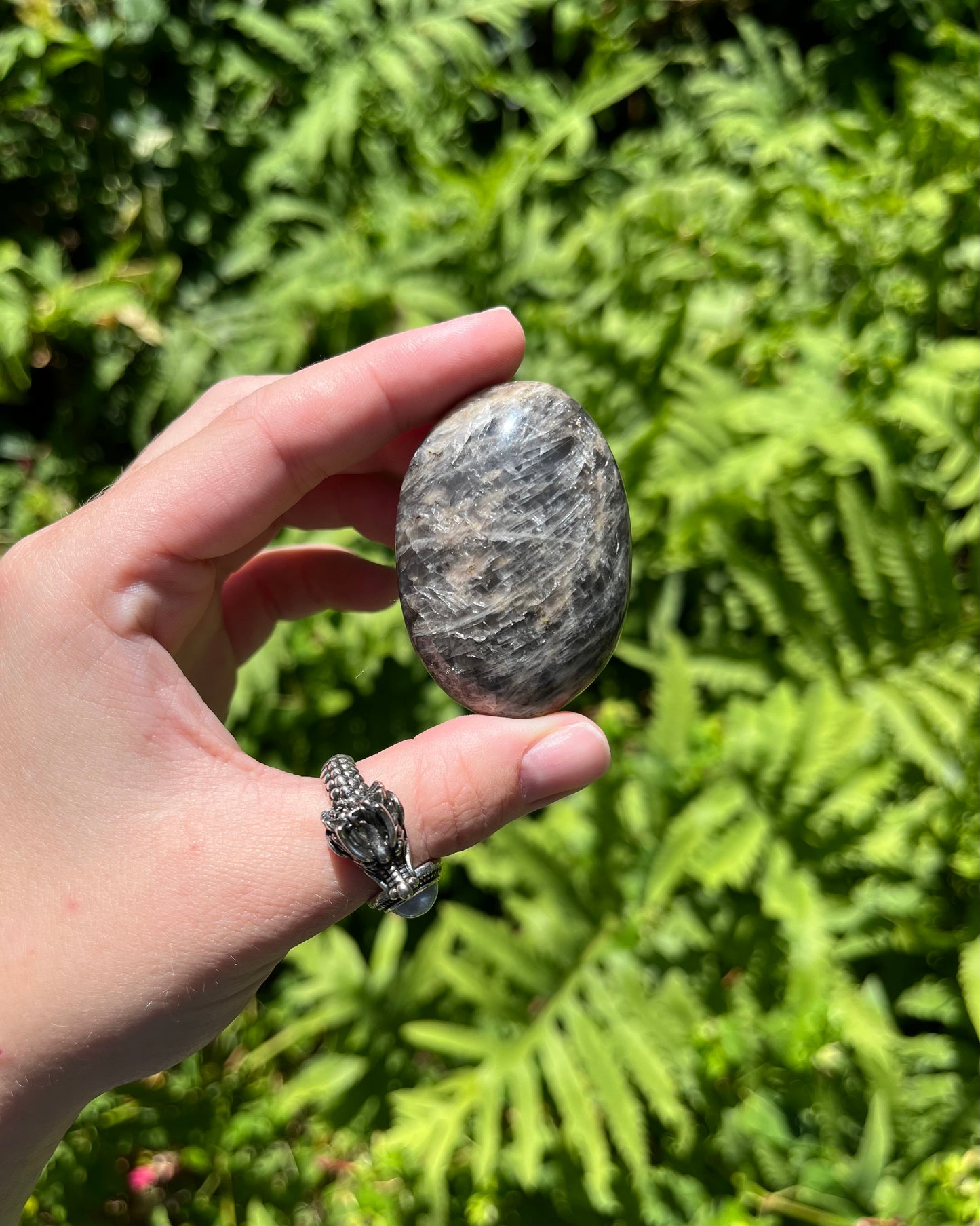 Black Moonstone Palm Stones