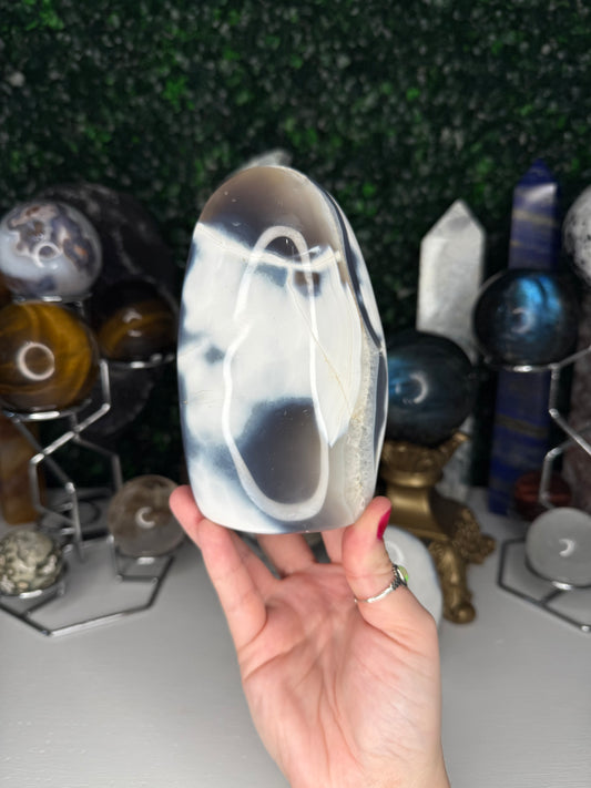 Orca Agate Freeforms