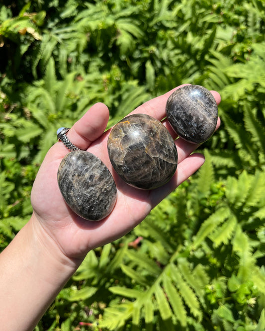 Black Moonstone Palm Stones