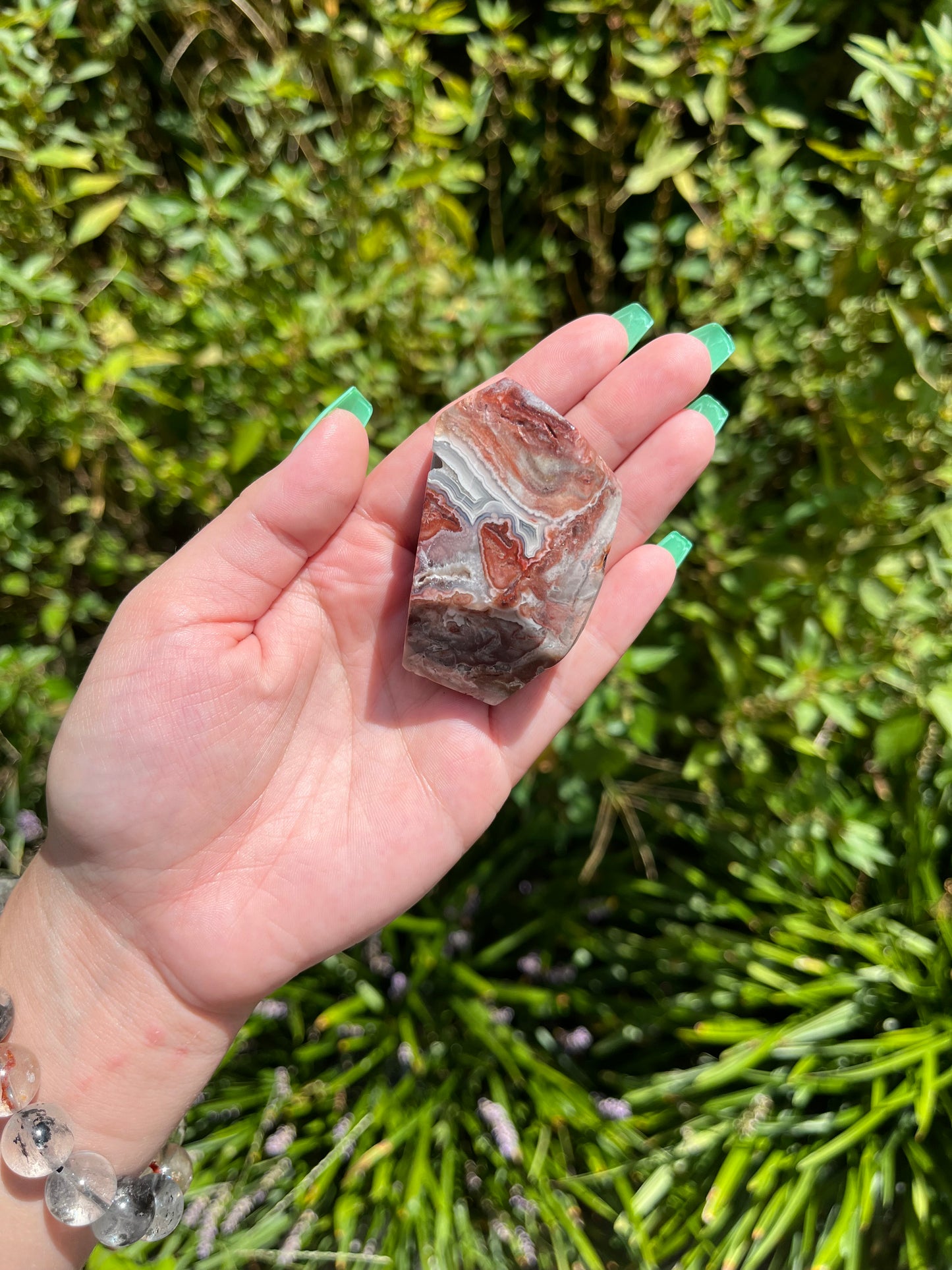 Mexican Crazy Lace Agate Freeforms