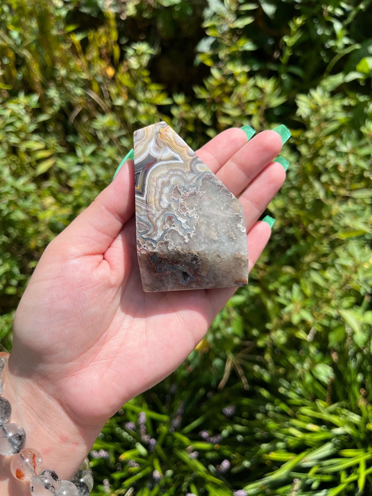 Mexican Crazy Lace Agate Freeforms