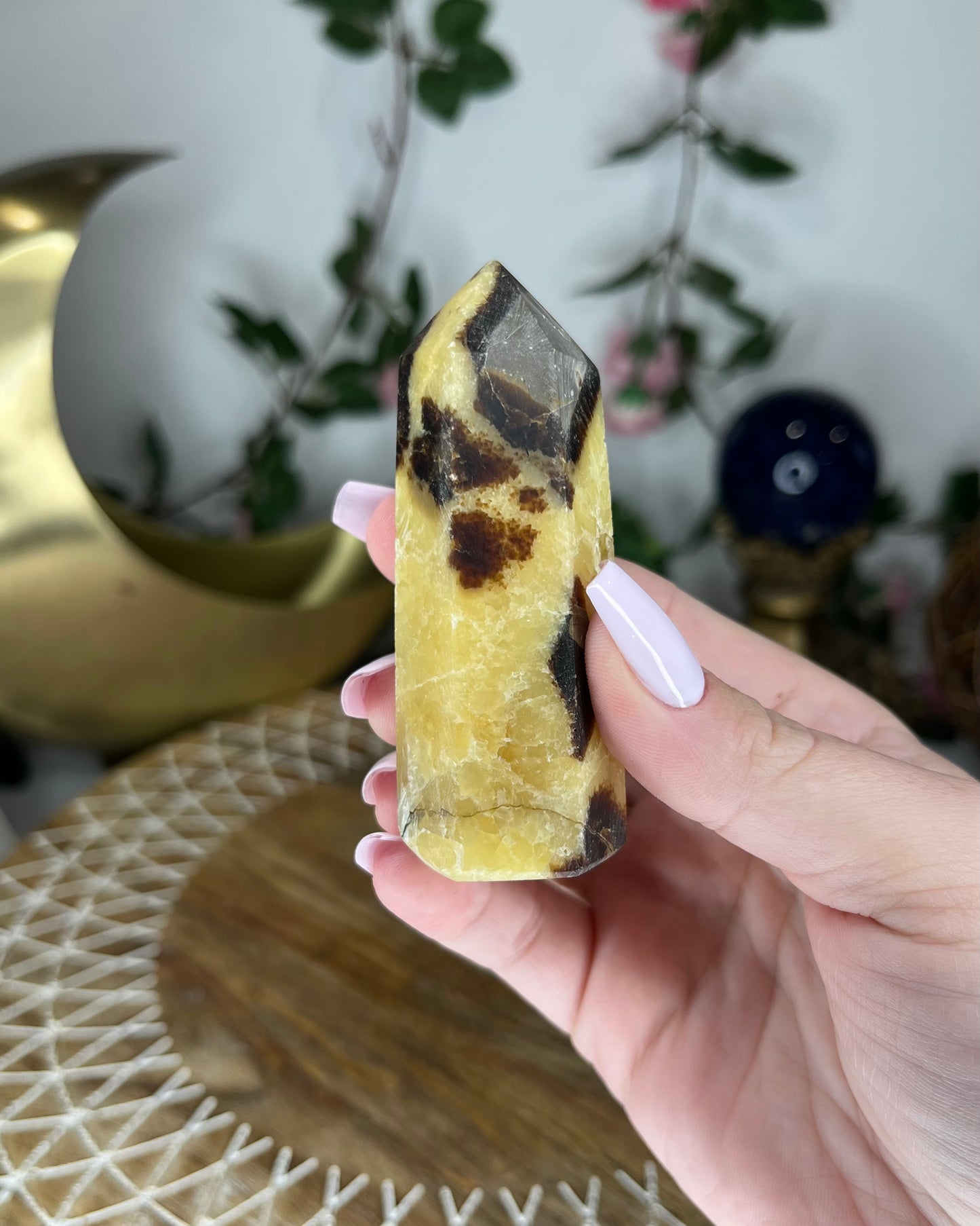 Septarian Point